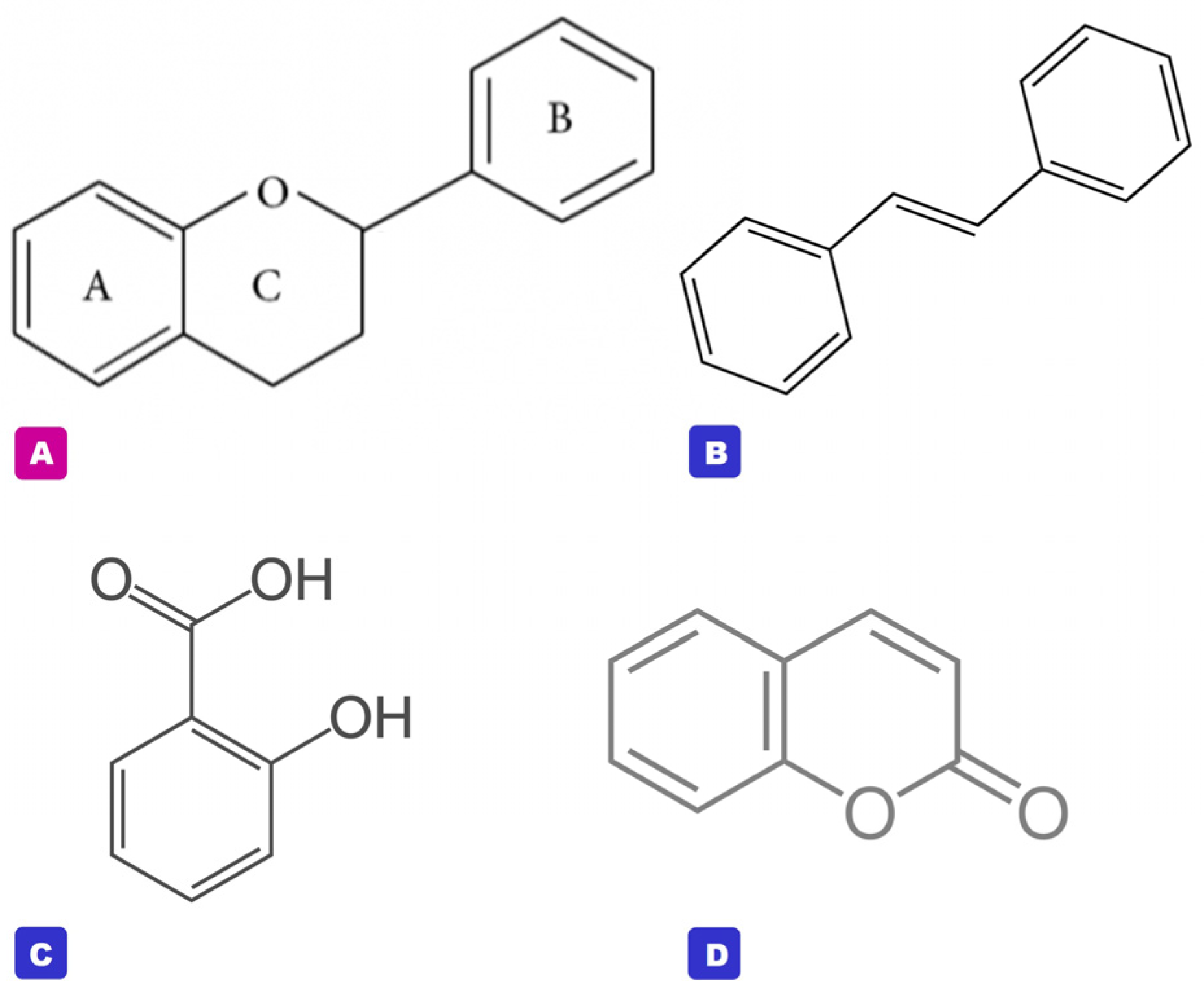 Molecules 29 05760 g001