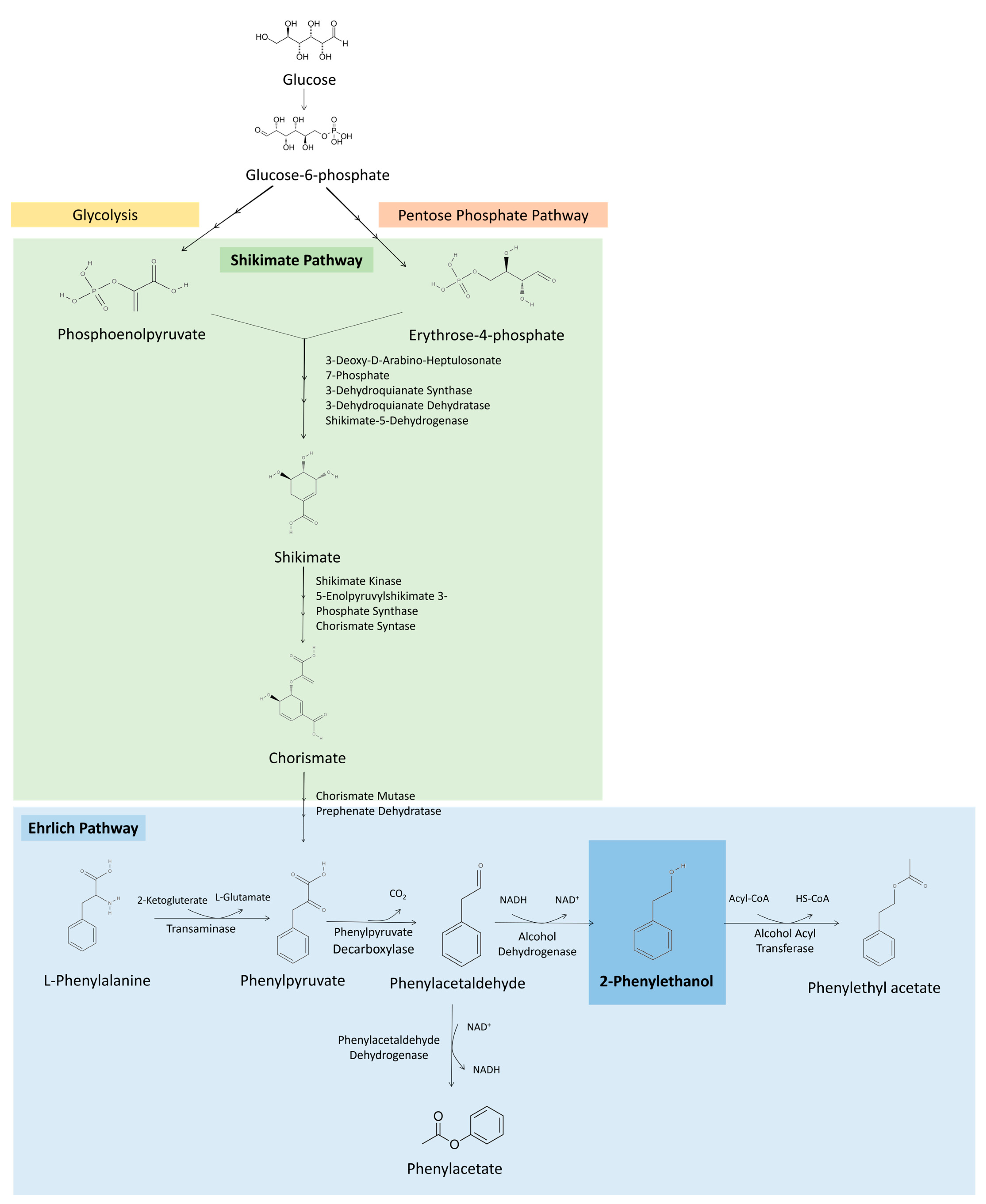 Molecules 29 05761 g002