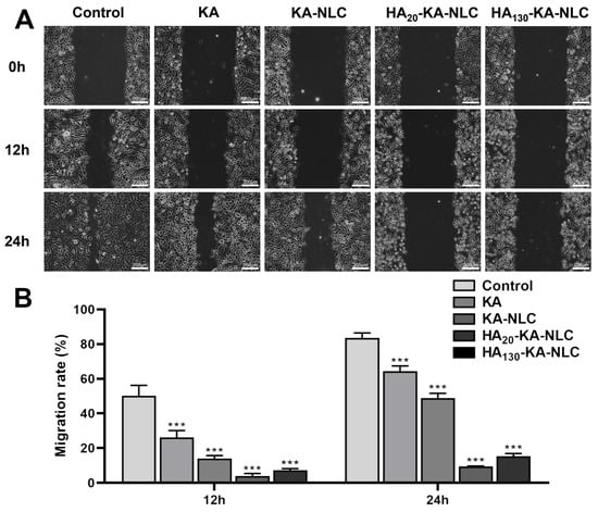 Molecules 29 05762 g010