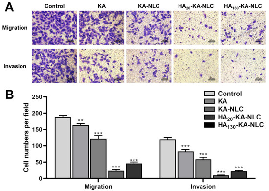 Molecules 29 05762 g011