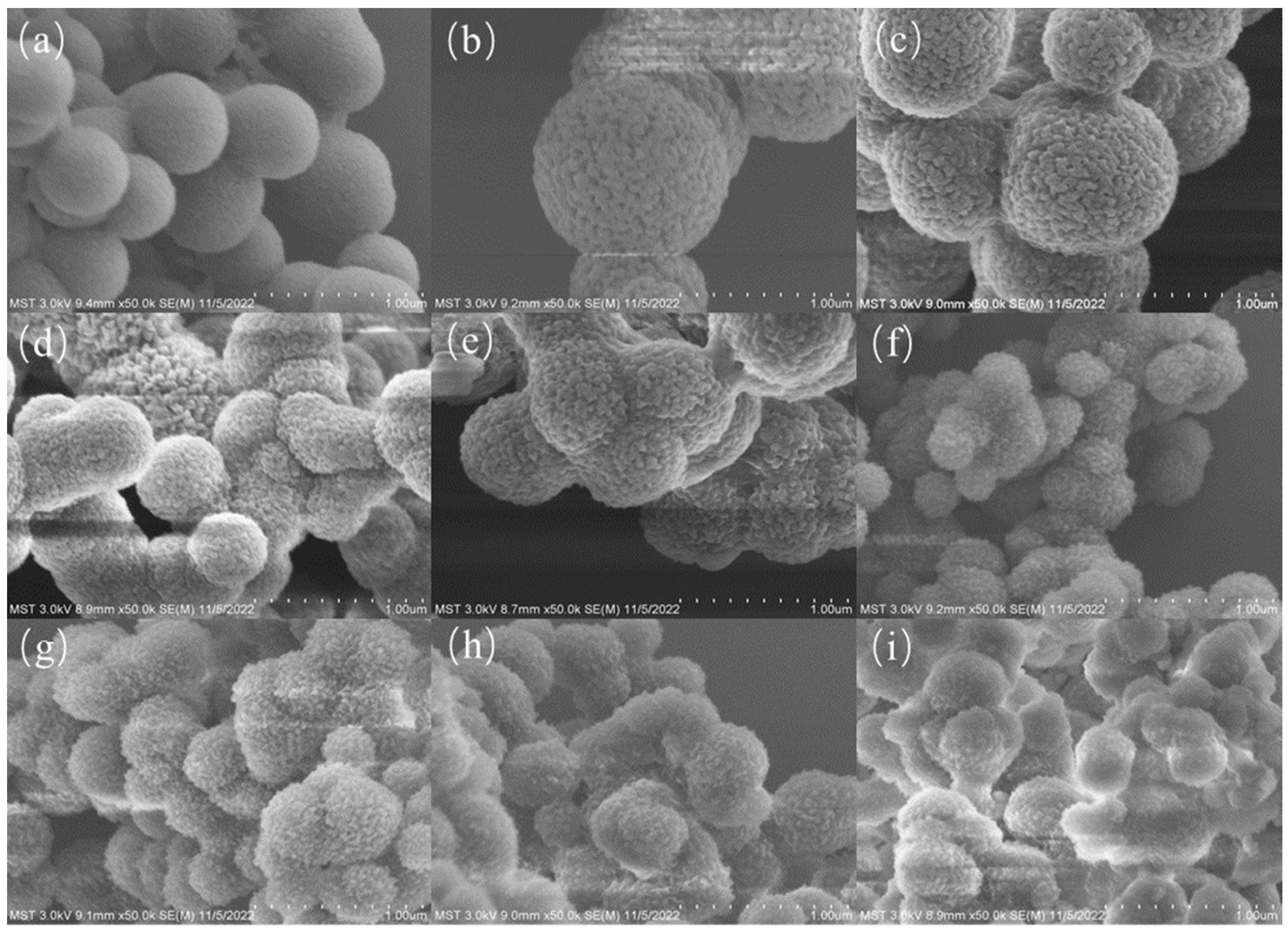 Molecules 29 05763 g002