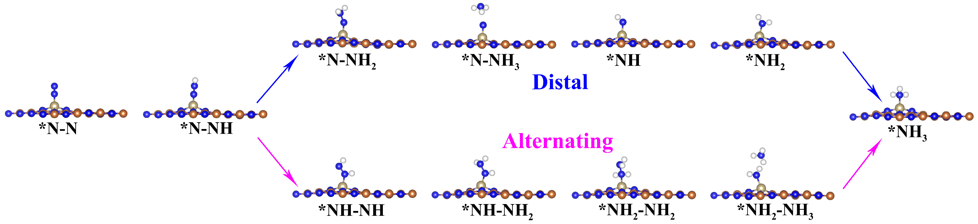 Molecules 29 05768 g003 Molecules 29 05768 g003