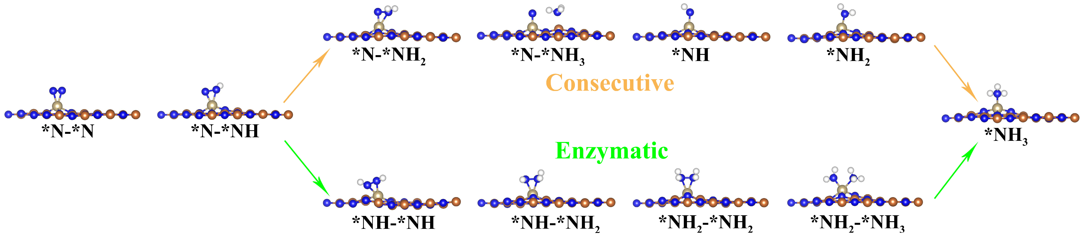 Molecules 29 05768 g004 Molecules 29 05768 g004