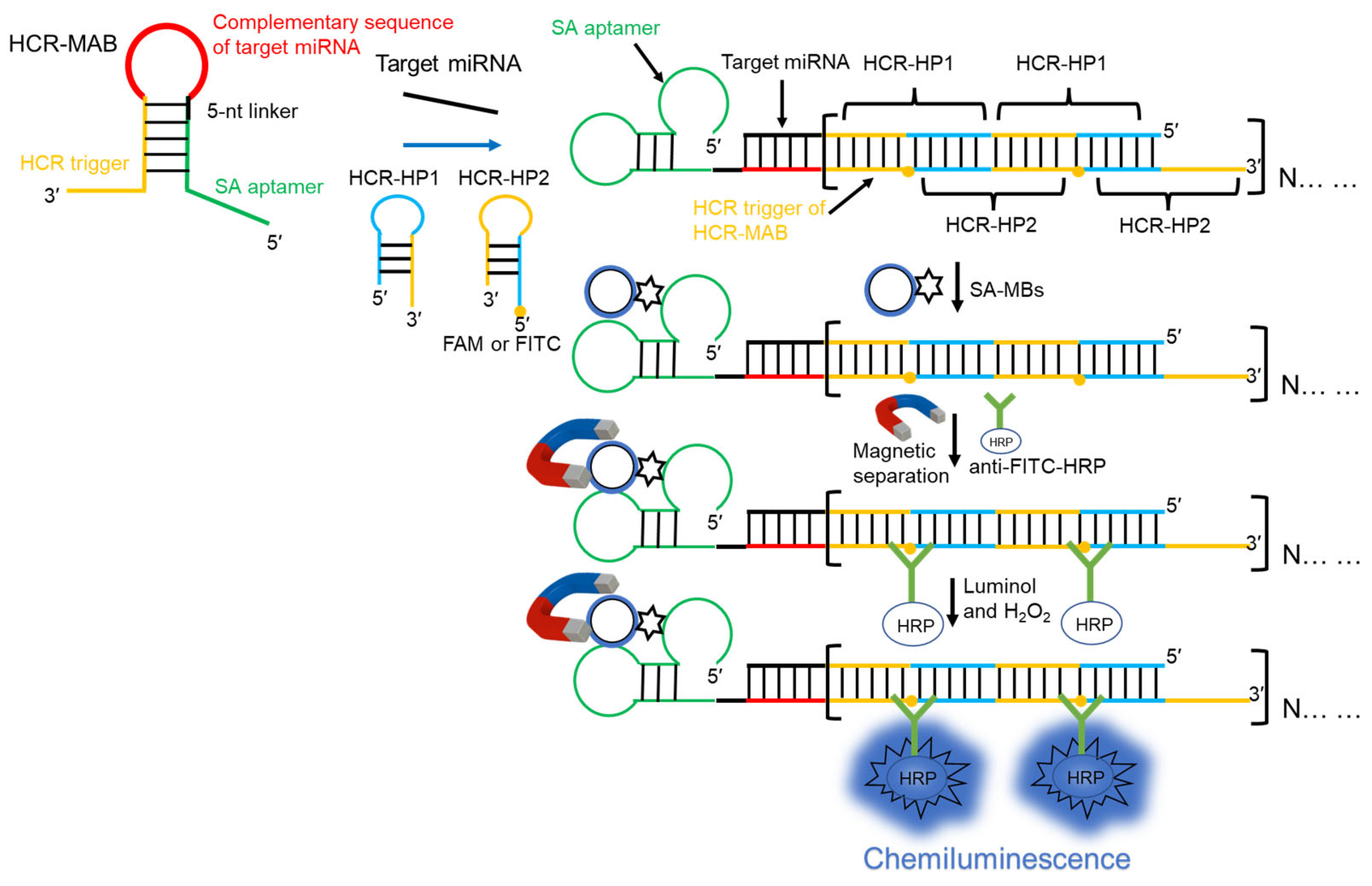 Molecules 29 05782 g001