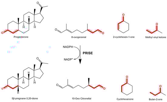 Molecules 29 05788 g001
