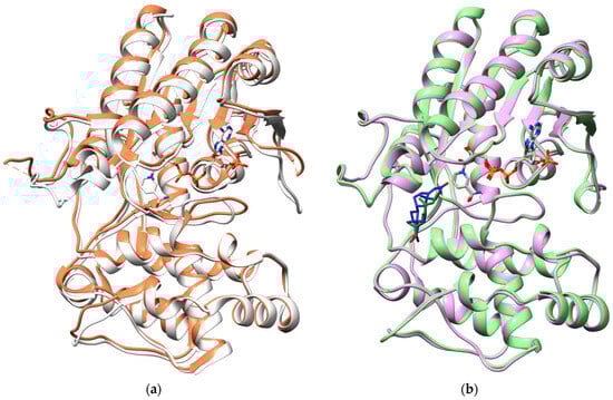 Molecules 29 05788 g002