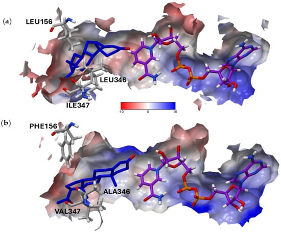 Molecules 29 05788 g004