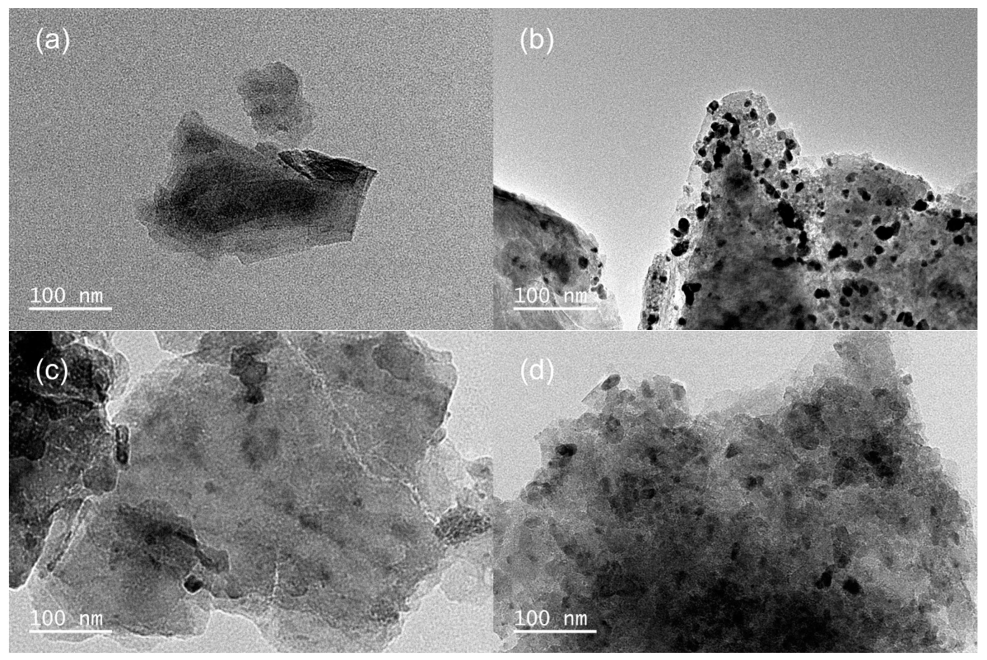 Molecules 29 05793 g003