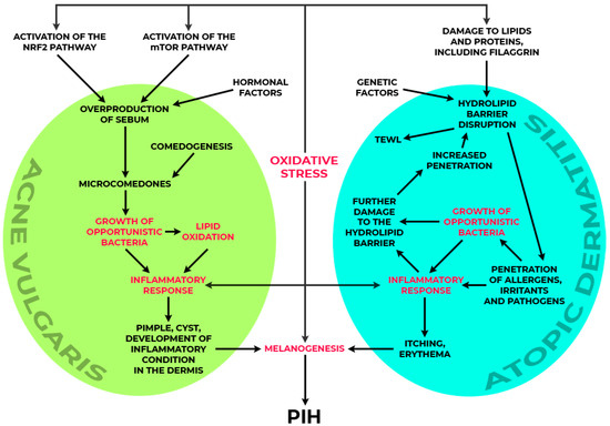 Molecules 29 05806 g003
