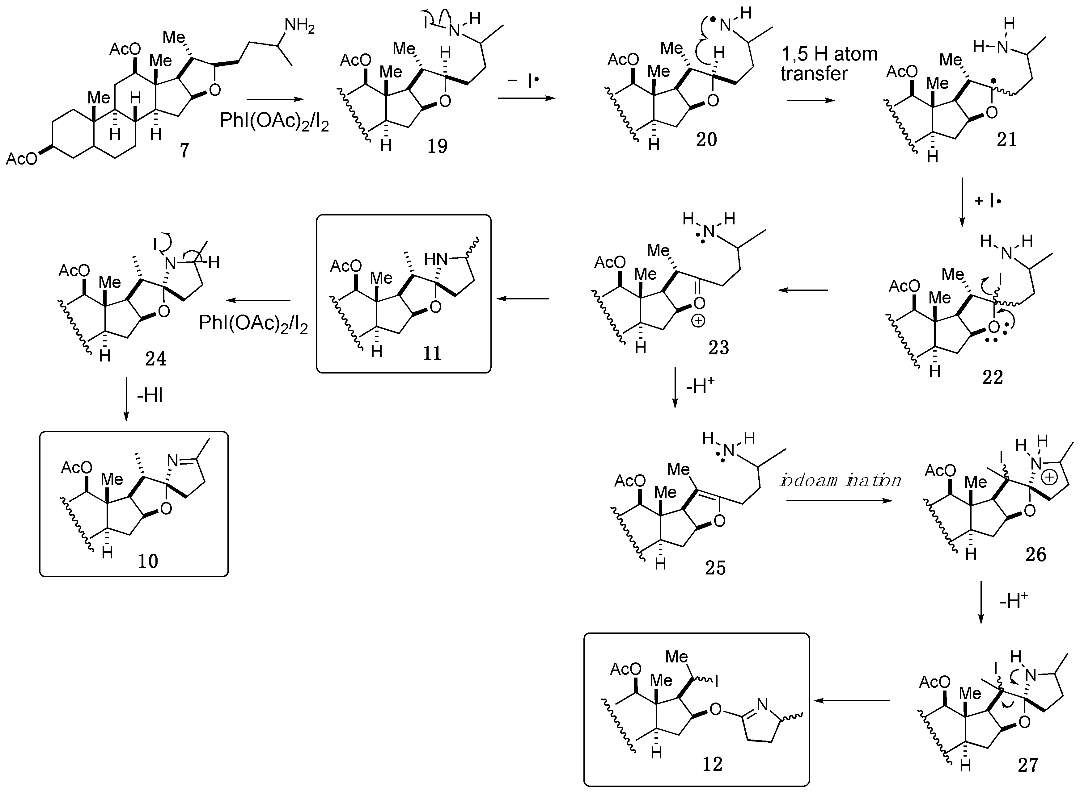 Molecules 29 05812 sch004