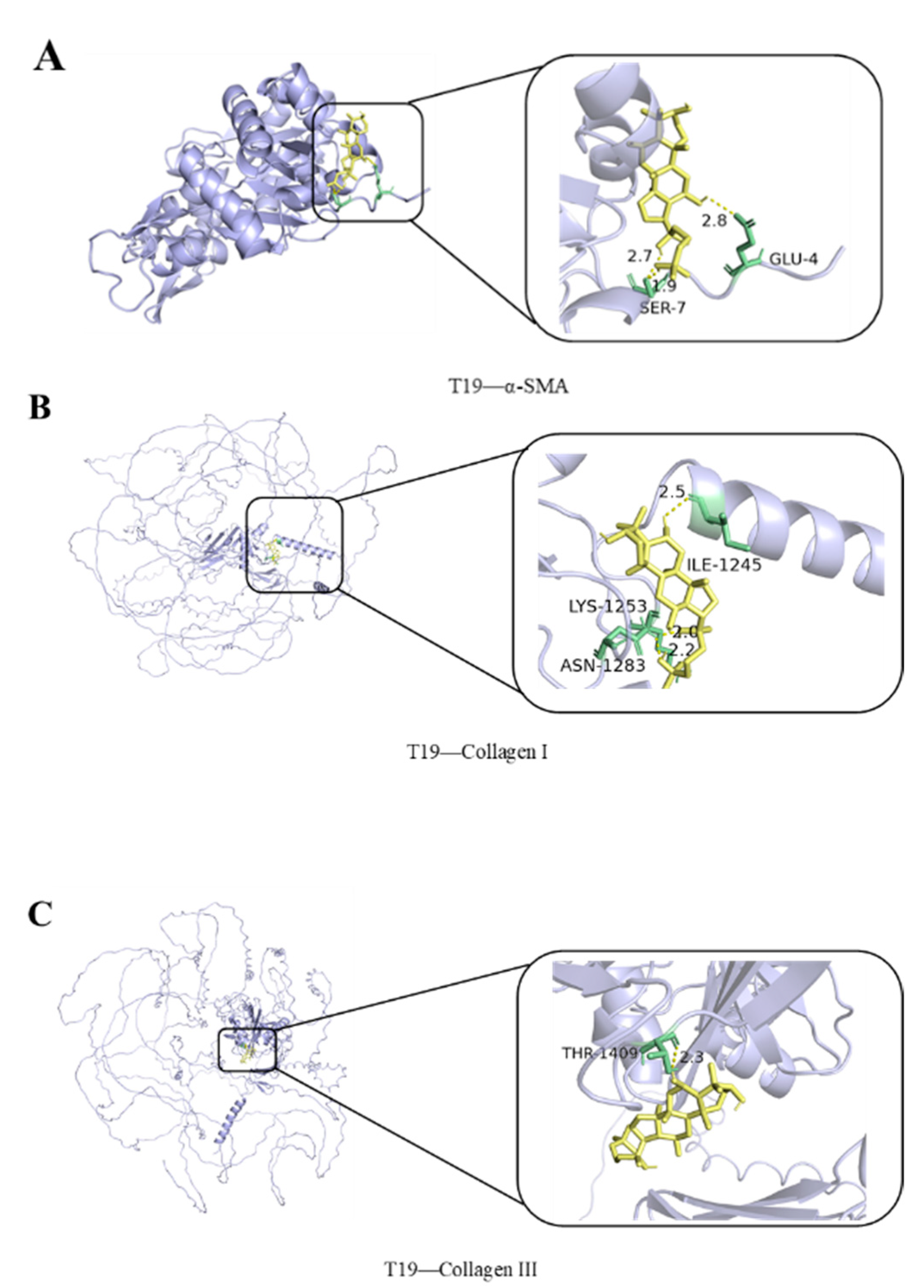 Molecules 29 05813 g005