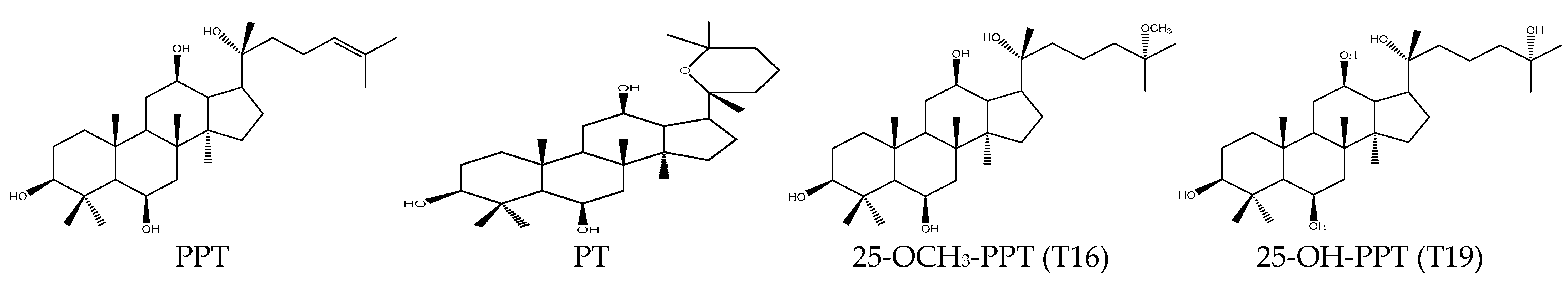 Molecules 29 05813 g011