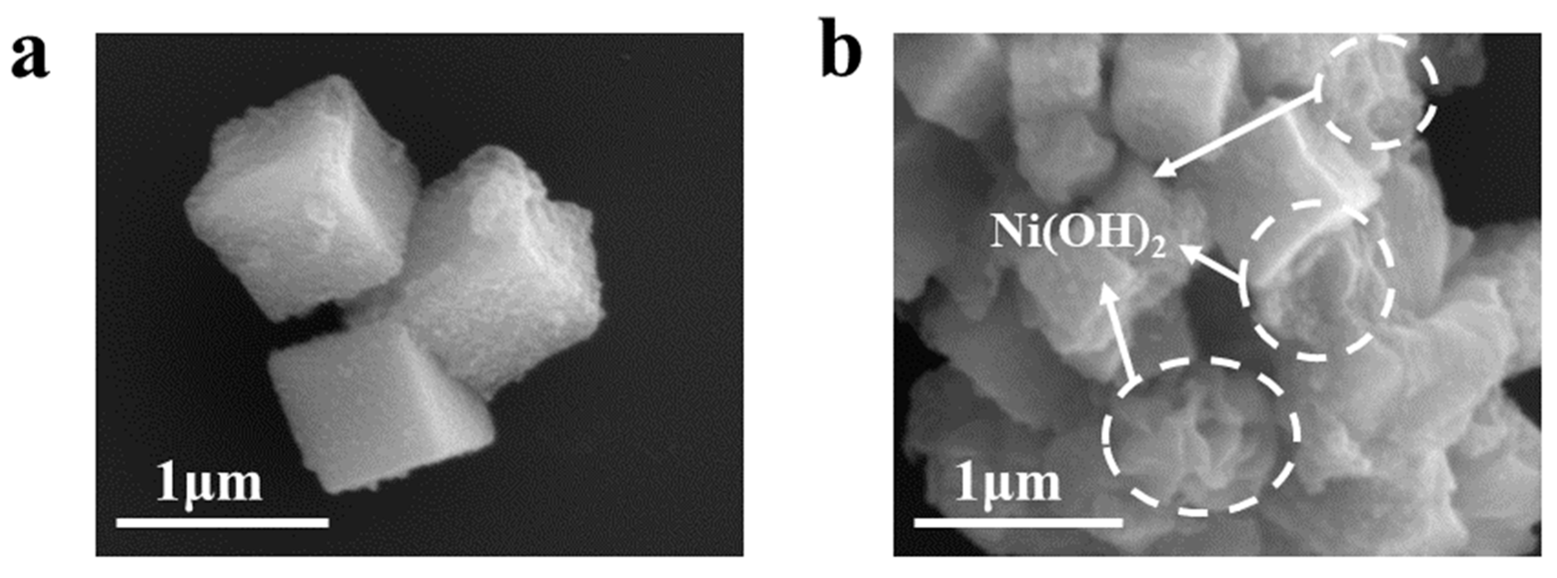 Molecules 29 05821 g002