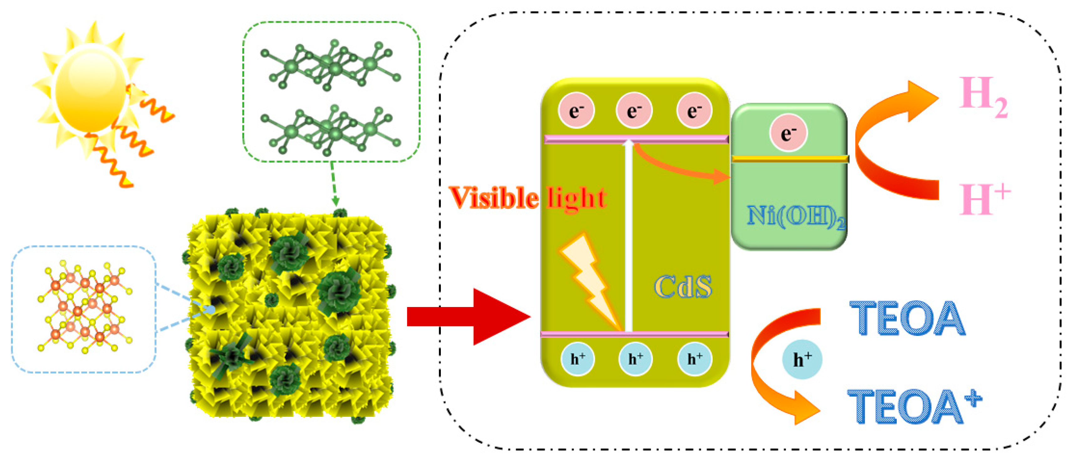 Molecules 29 05821 g009