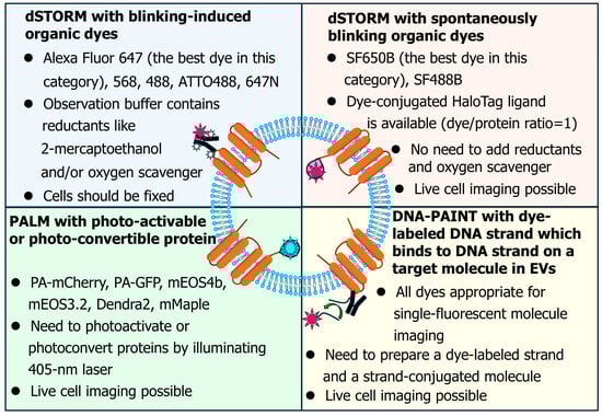 Molecules 29 05828 g002