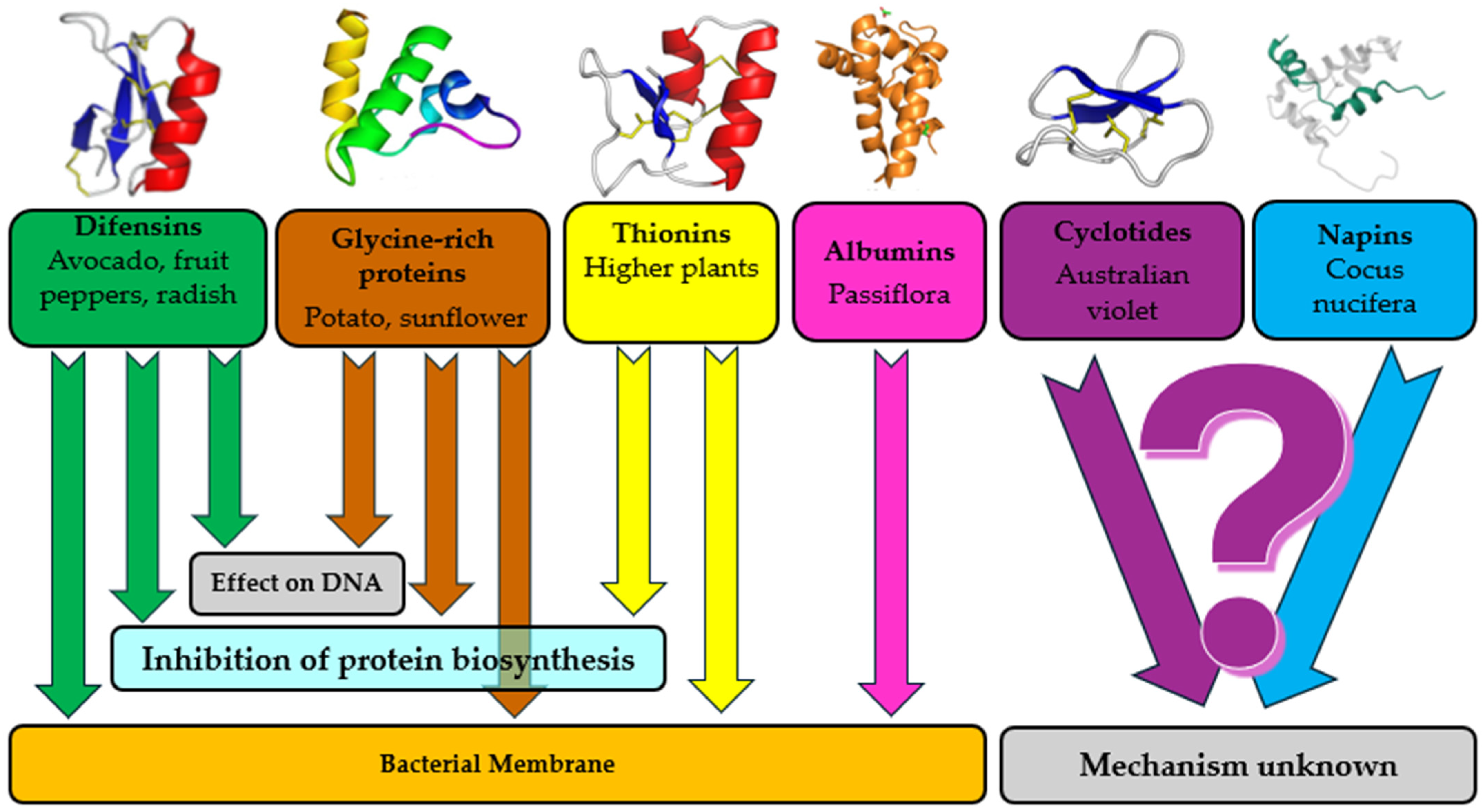 Molecules 29 05830 g001