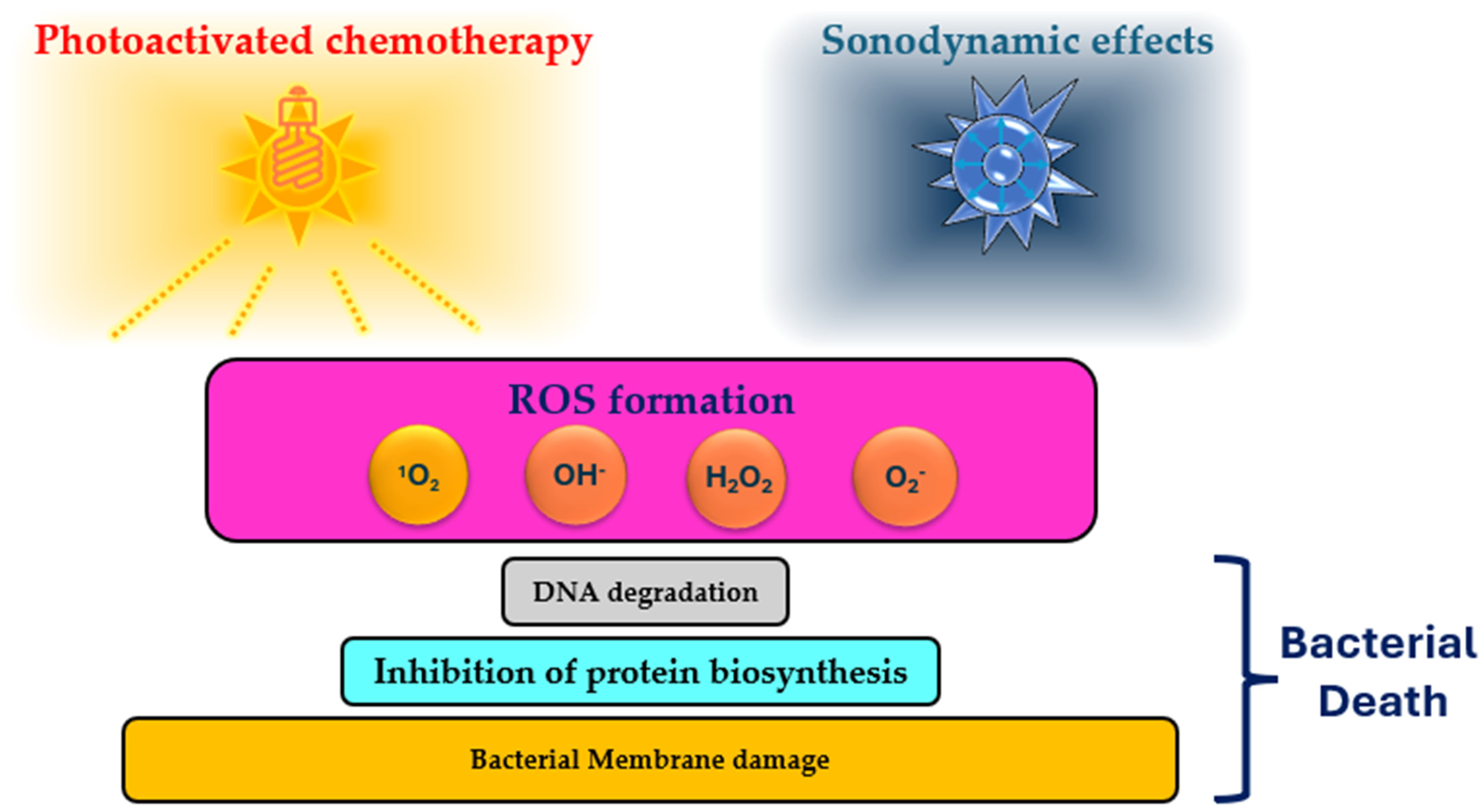 Molecules 29 05830 g002