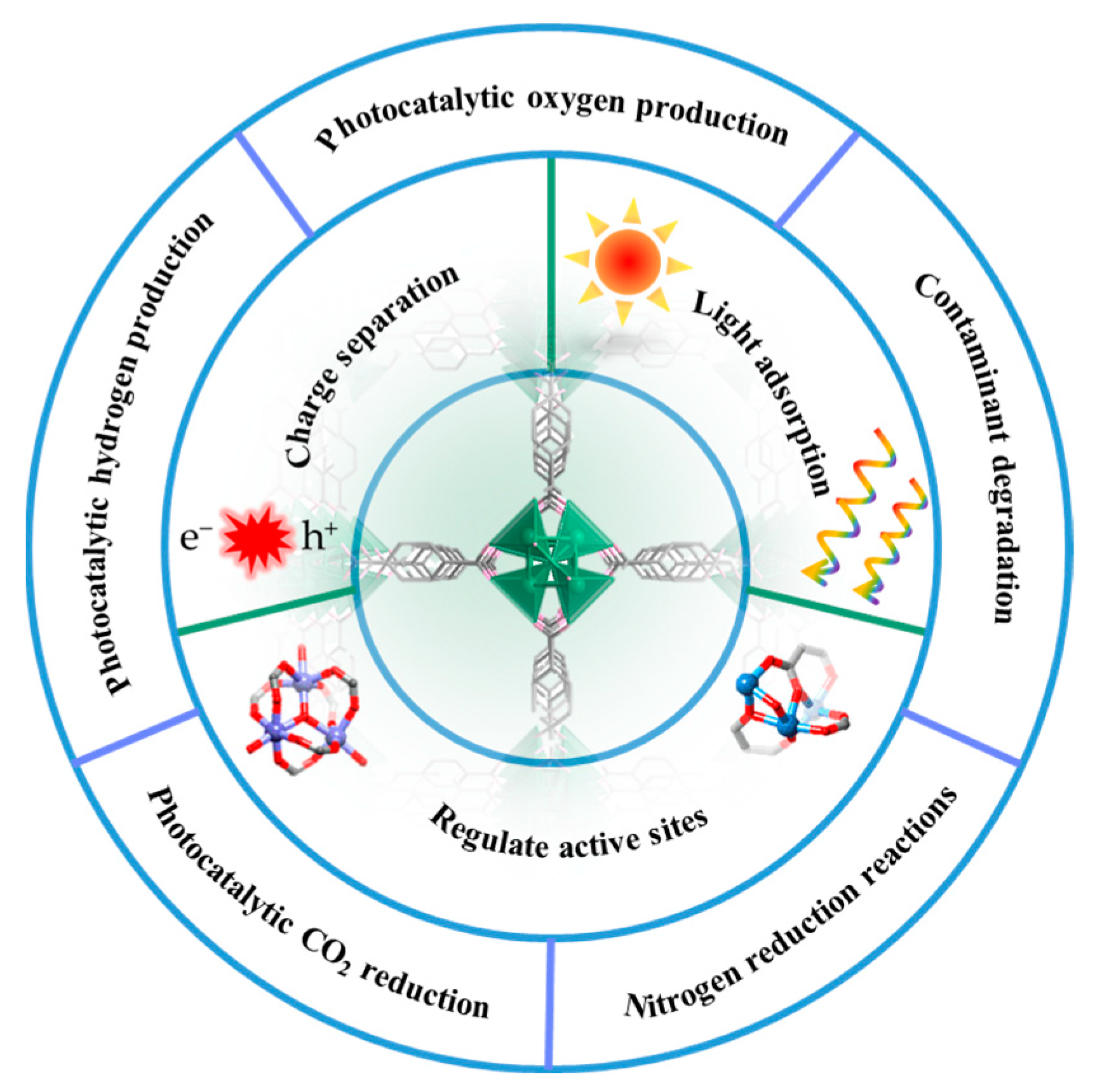Molecules 29 05834 g001
