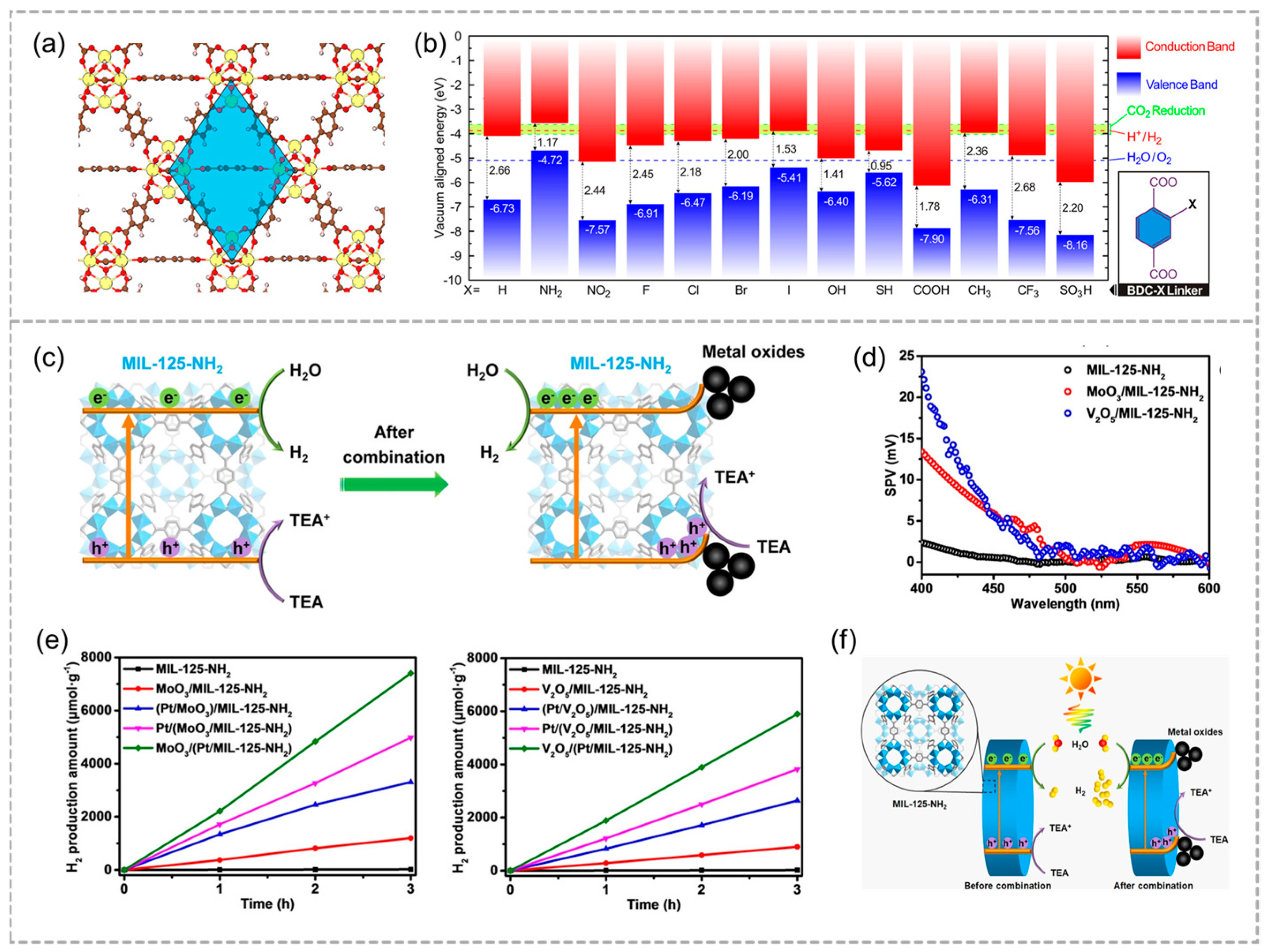 Molecules 29 05834 g004
