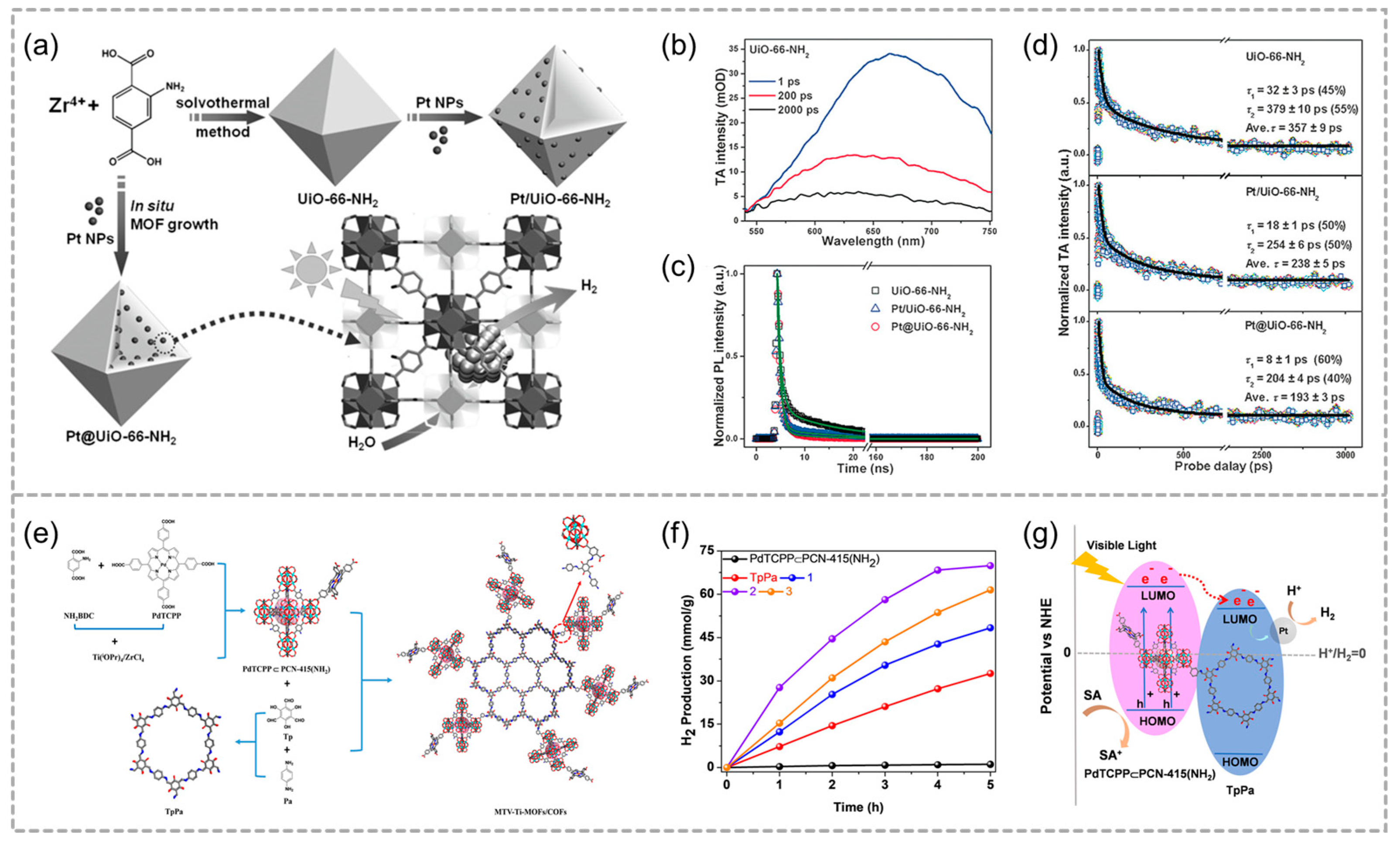 Molecules 29 05834 g005