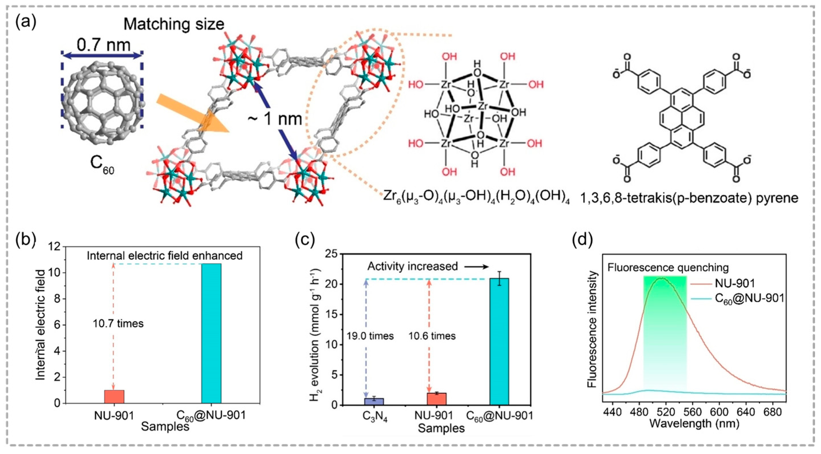 Molecules 29 05834 g006