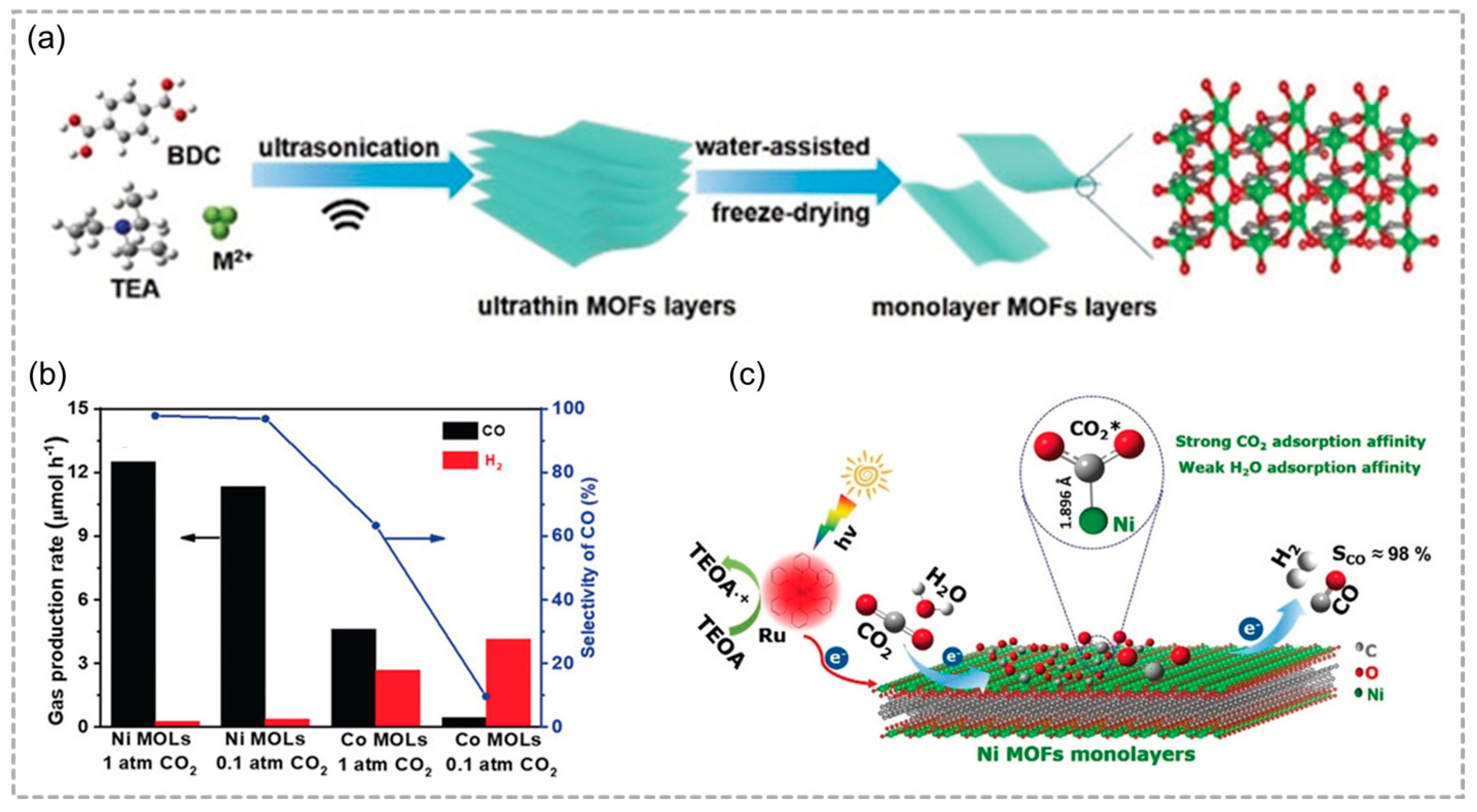 Molecules 29 05834 g008