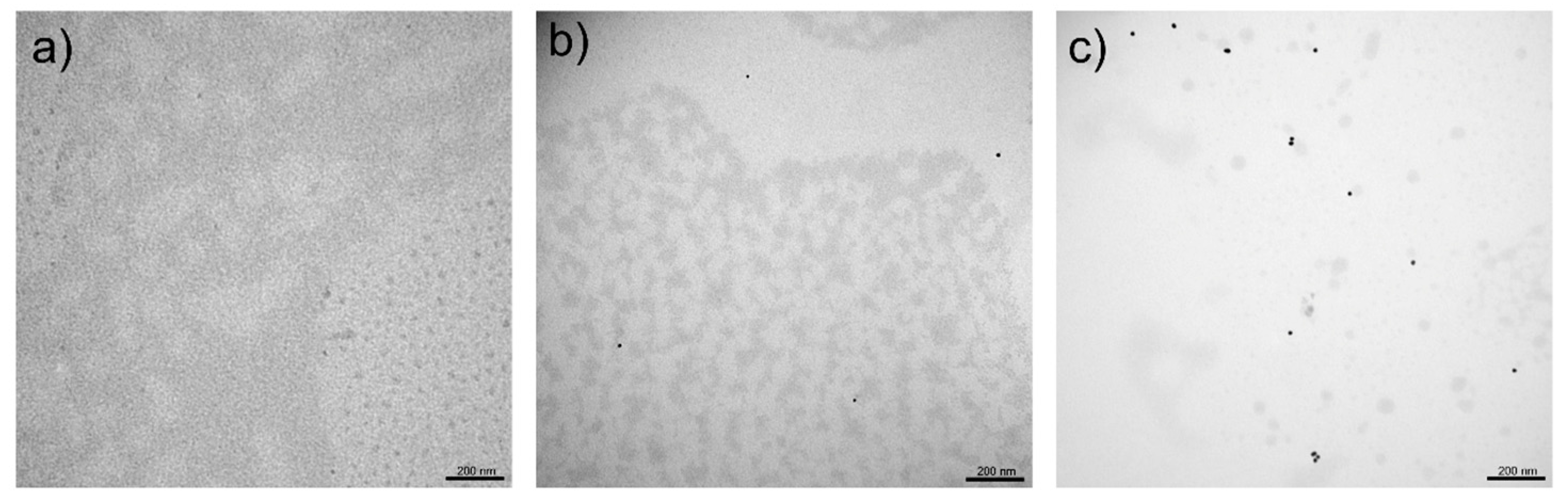 Molecules 29 05837 g006 Molecules 29 05837 g006