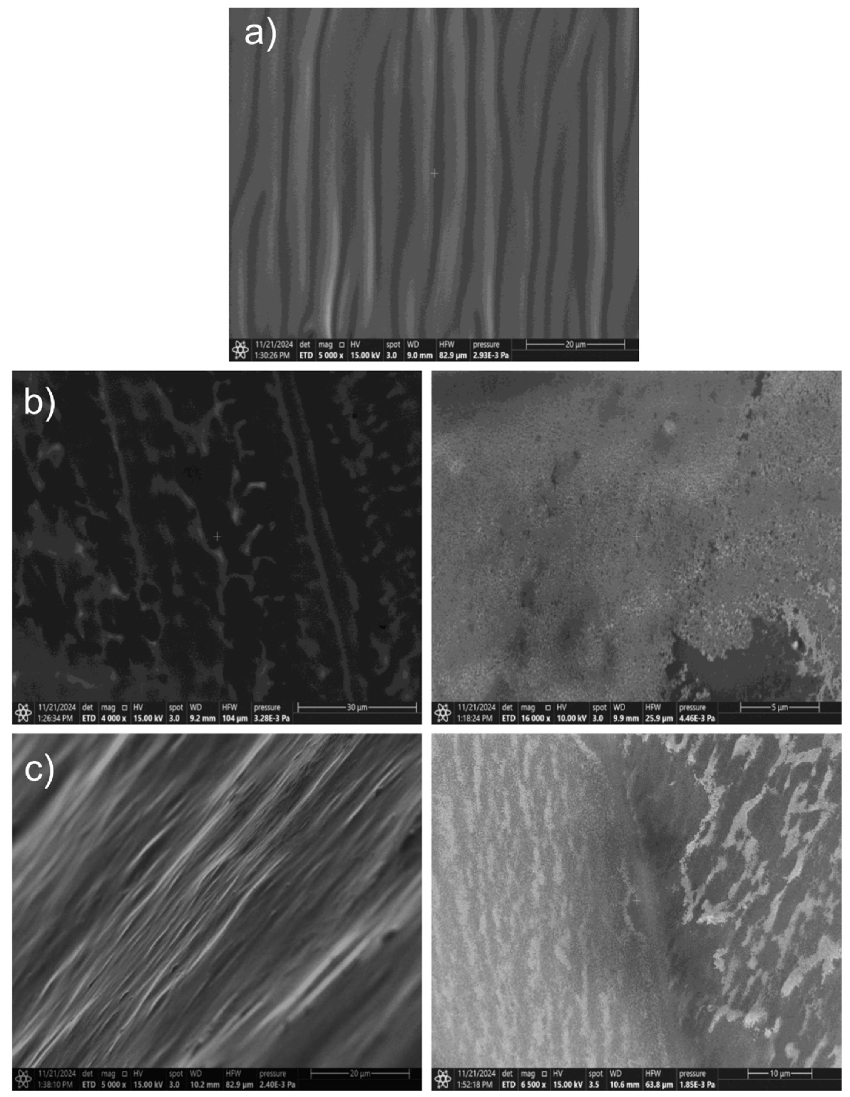Molecules 29 05837 g007 Molecules 29 05837 g007