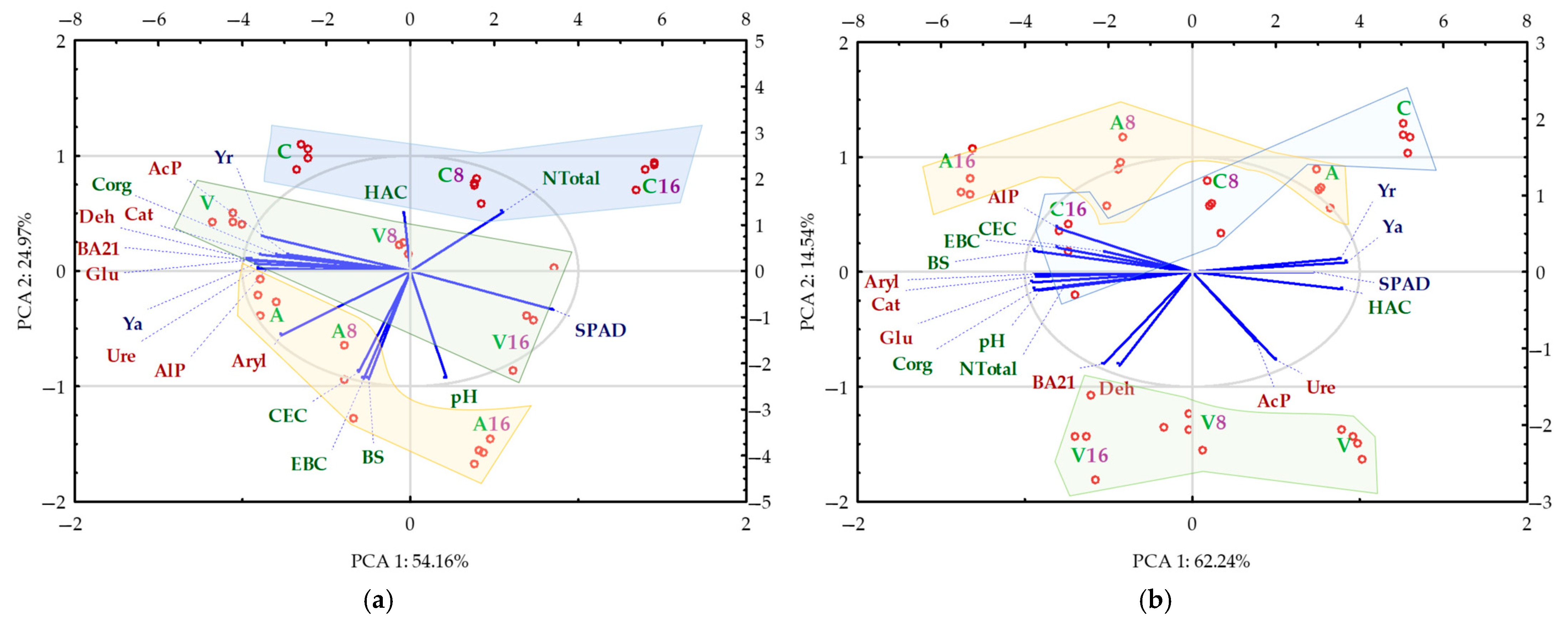 Molecules 29 05838 g008