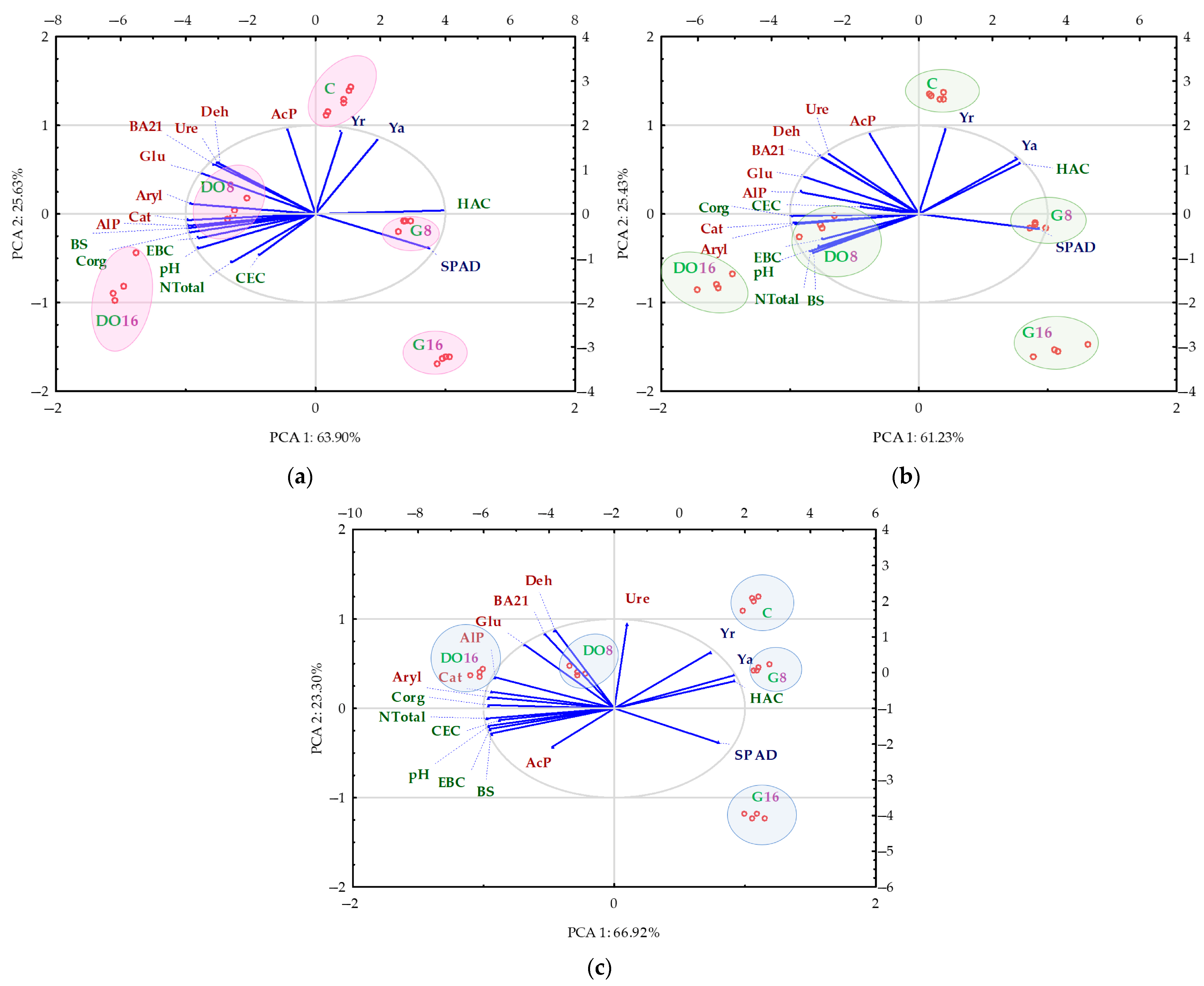 Molecules 29 05838 g009