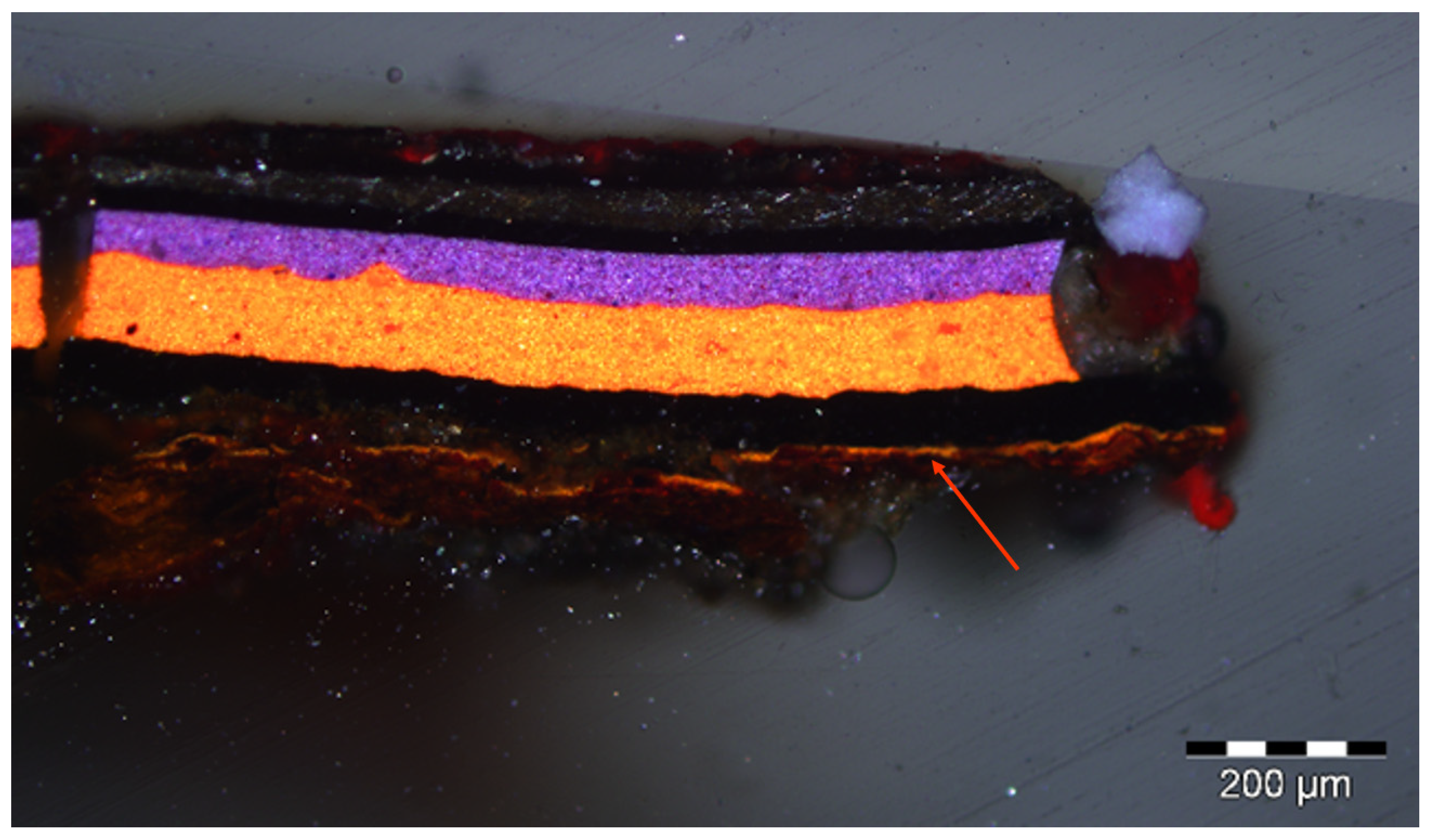 Molecules 29 05840 g008