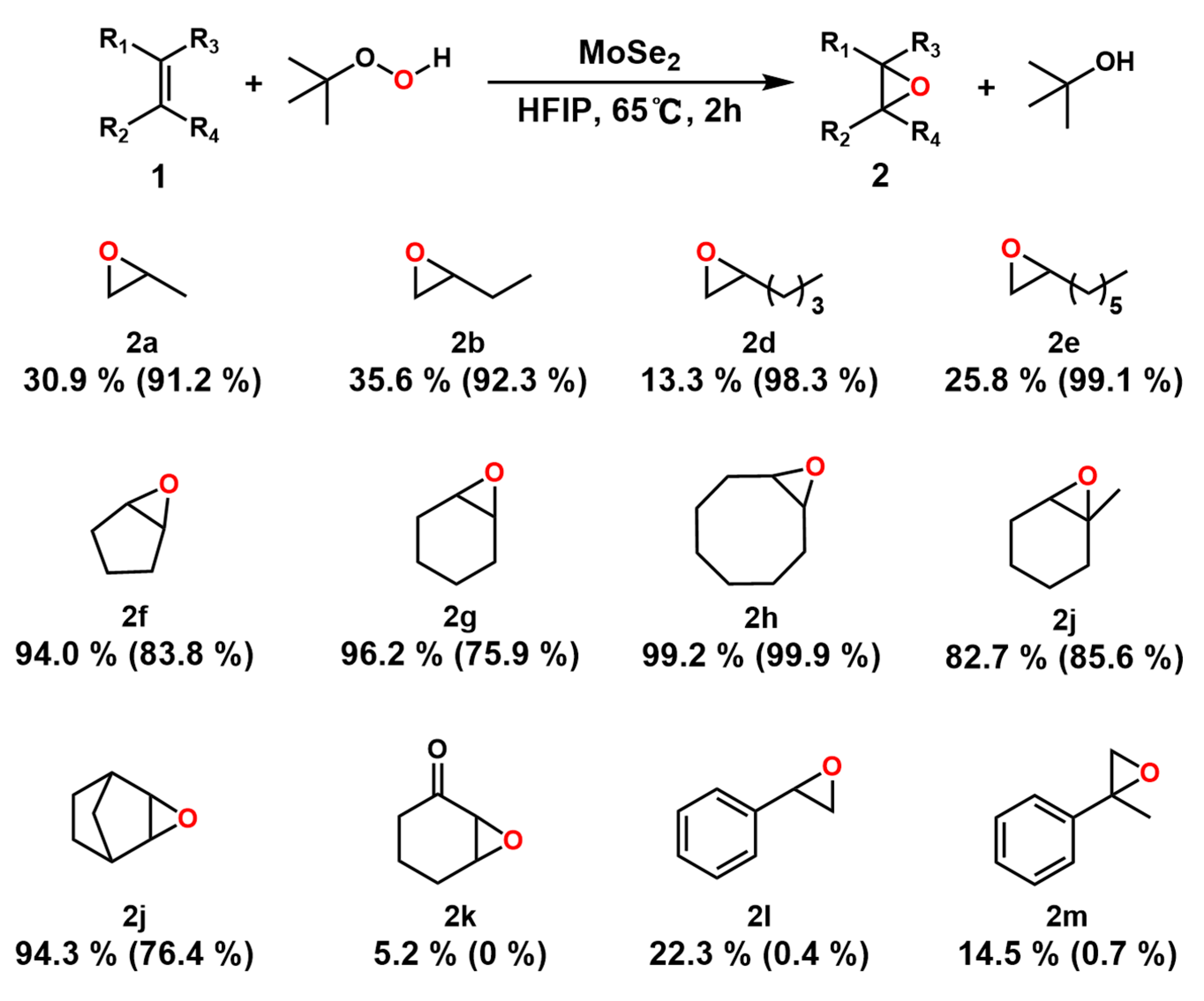 Molecules 29 05844 g001