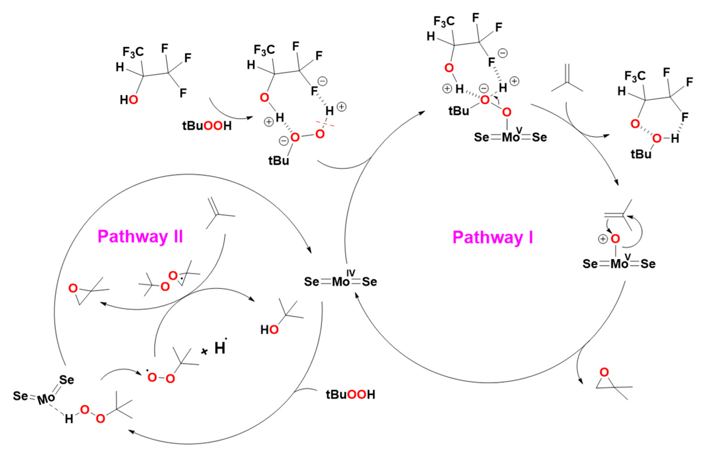 Molecules 29 05844 sch001
