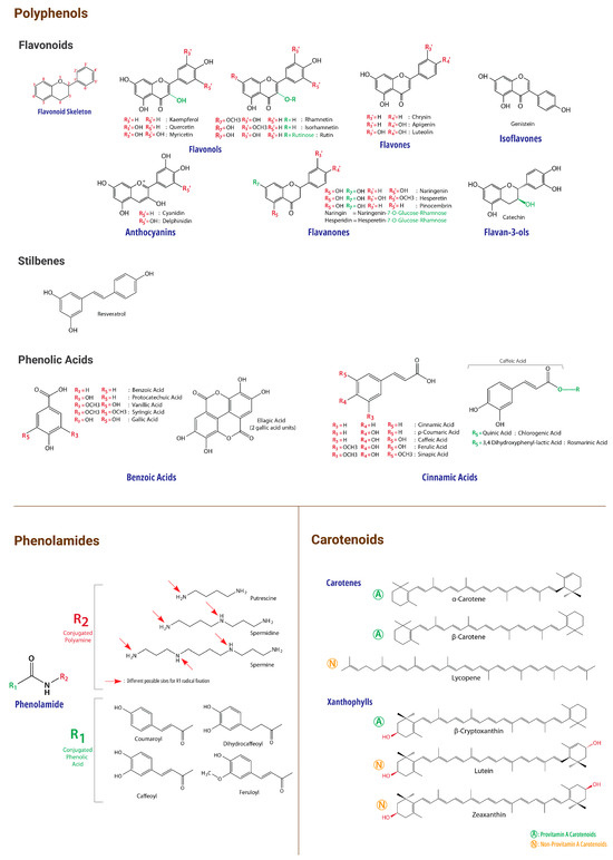 Molecules 29 05893 g002