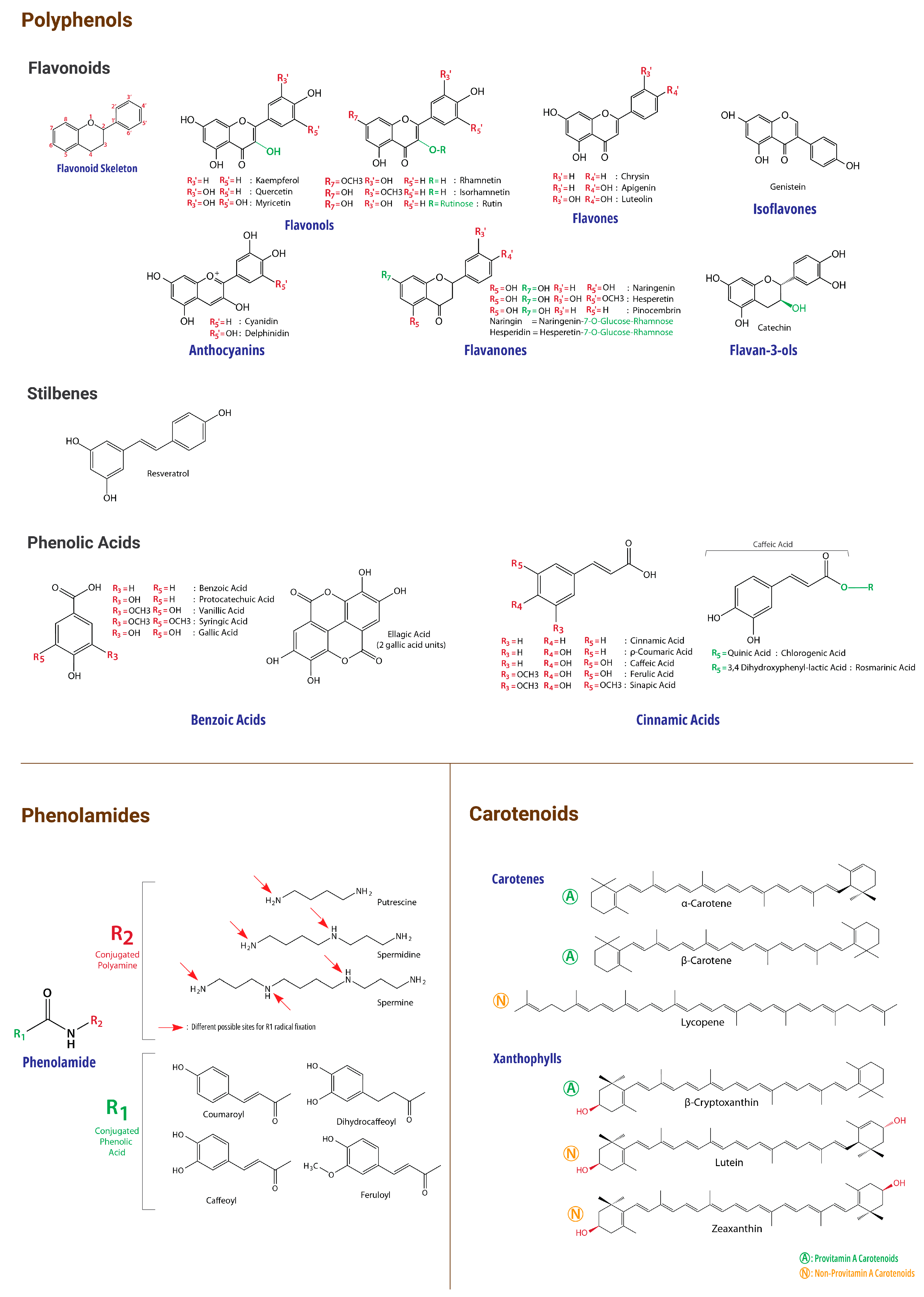 Molecules 29 05893 g002 Molecules 29 05893 g002