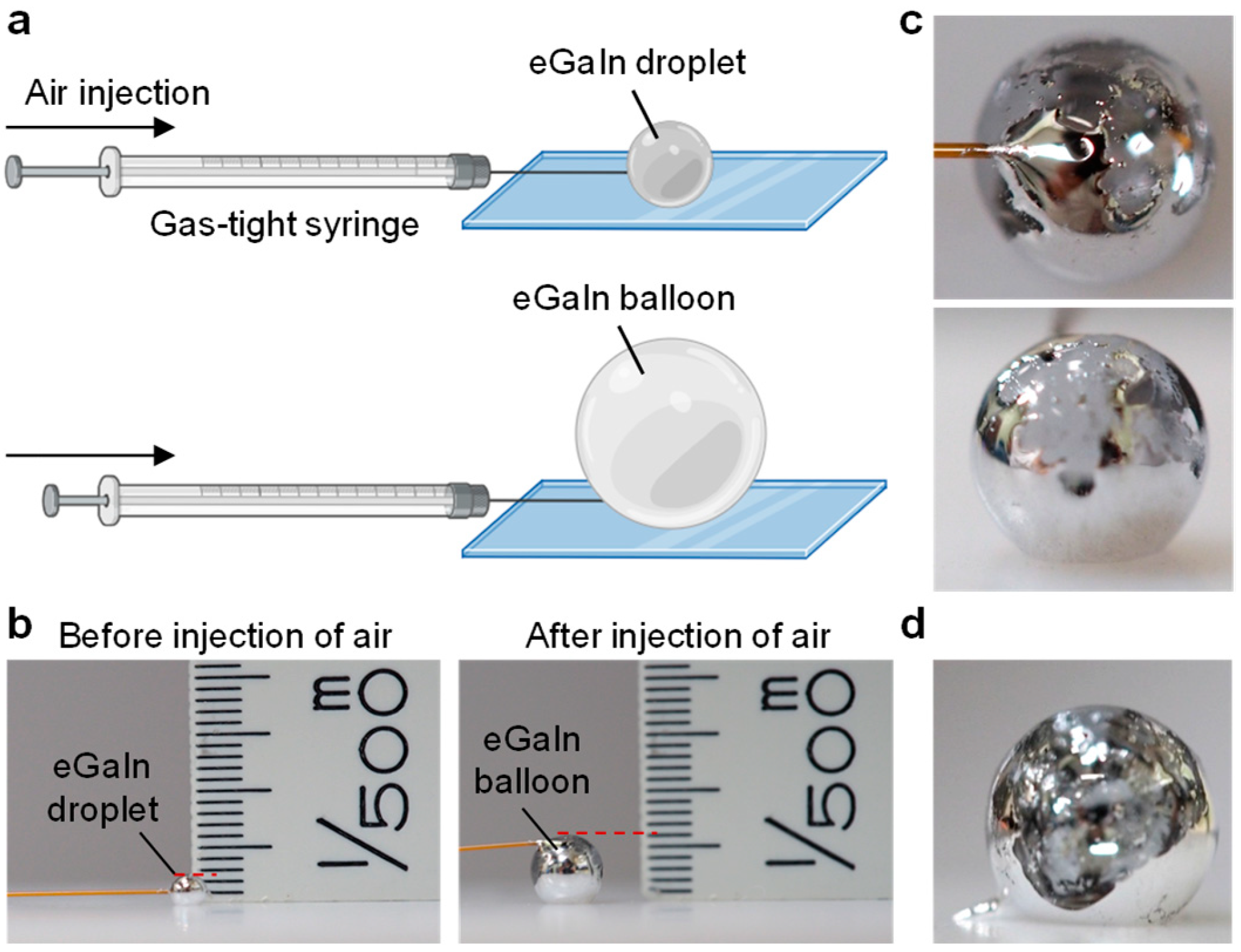Molecules 29 05894 g001