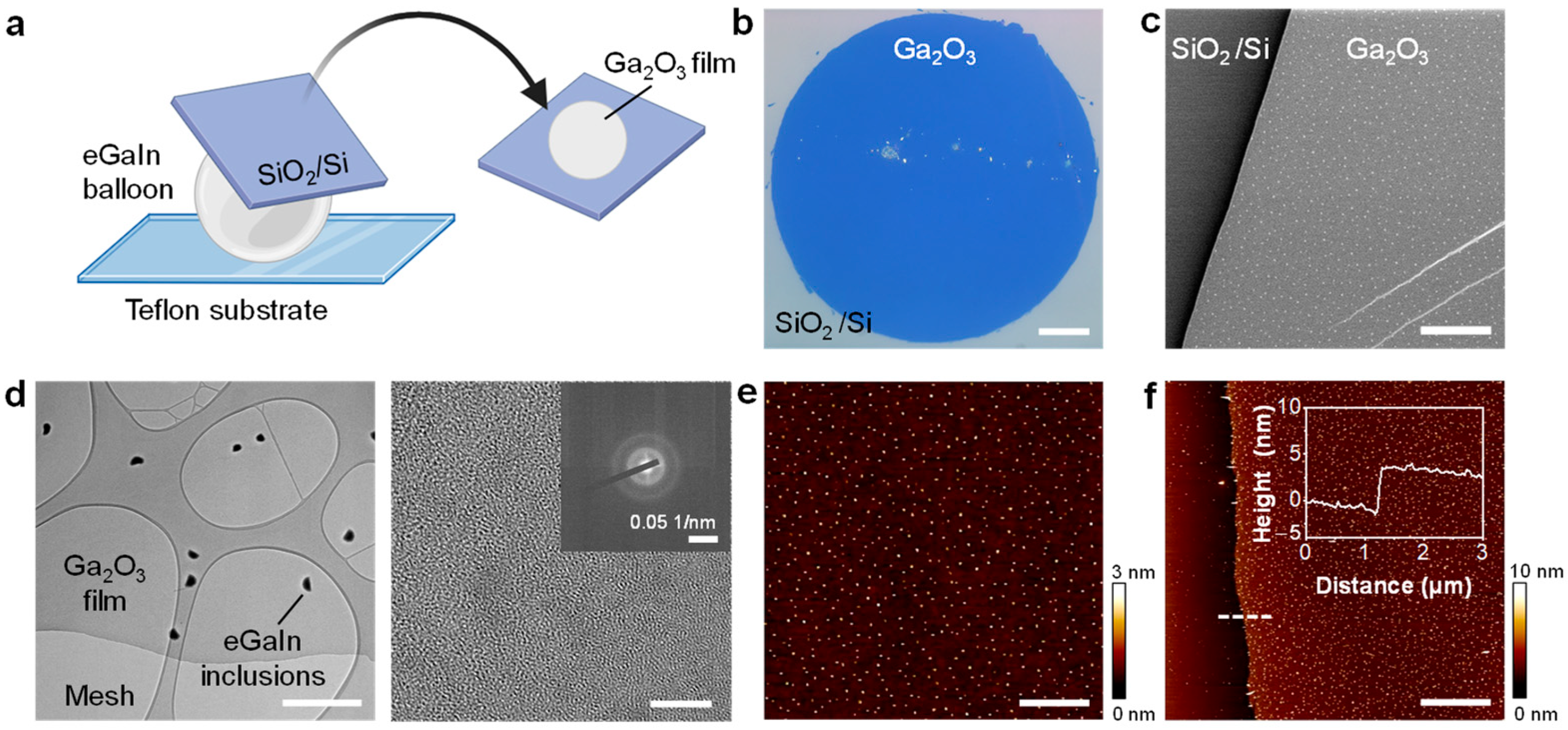 Molecules 29 05894 g002