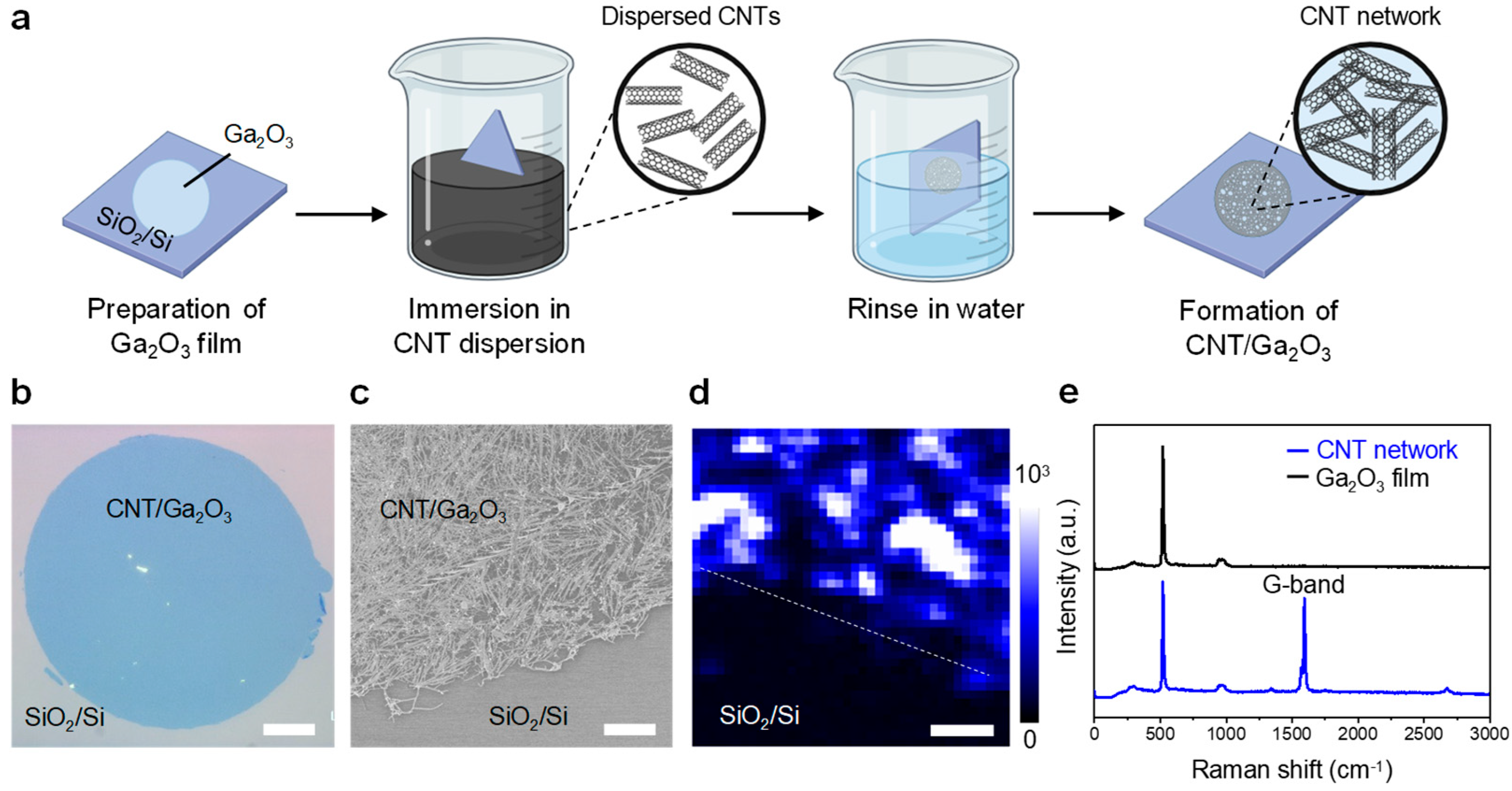 Molecules 29 05894 g003