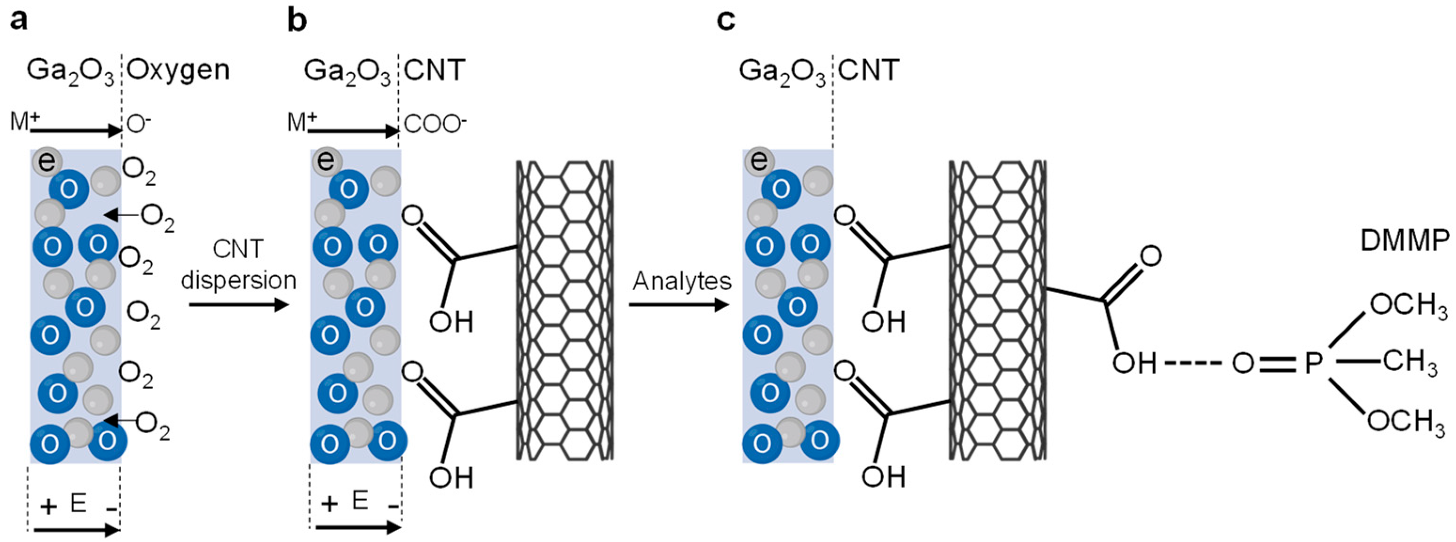 Molecules 29 05894 g004
