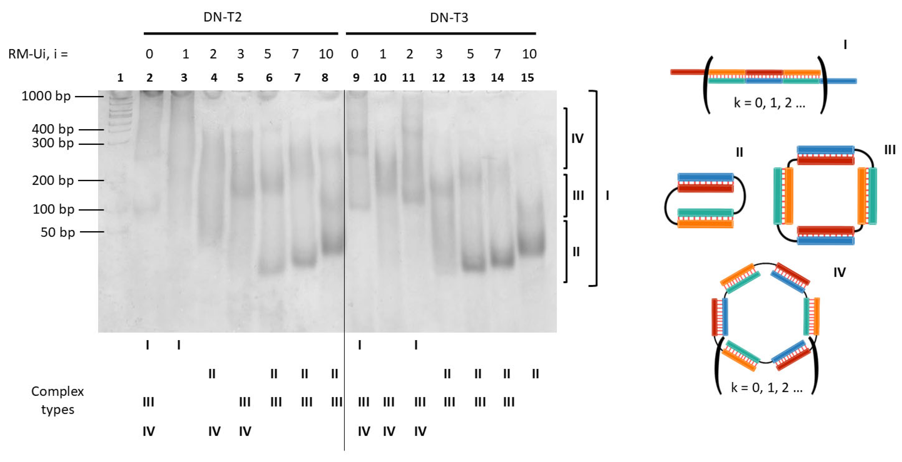 Molecules 29 05896 g002