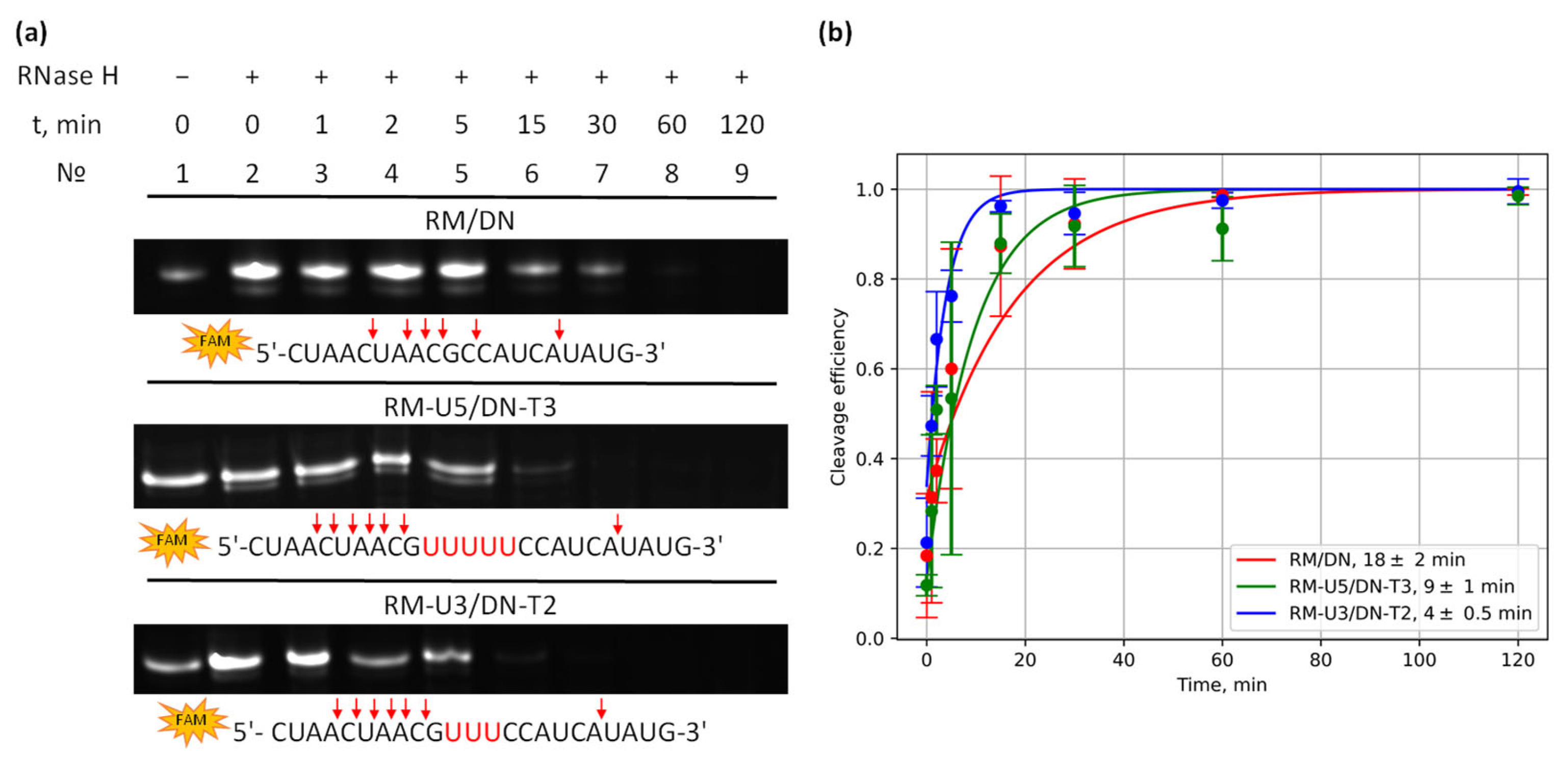 Molecules 29 05896 g006