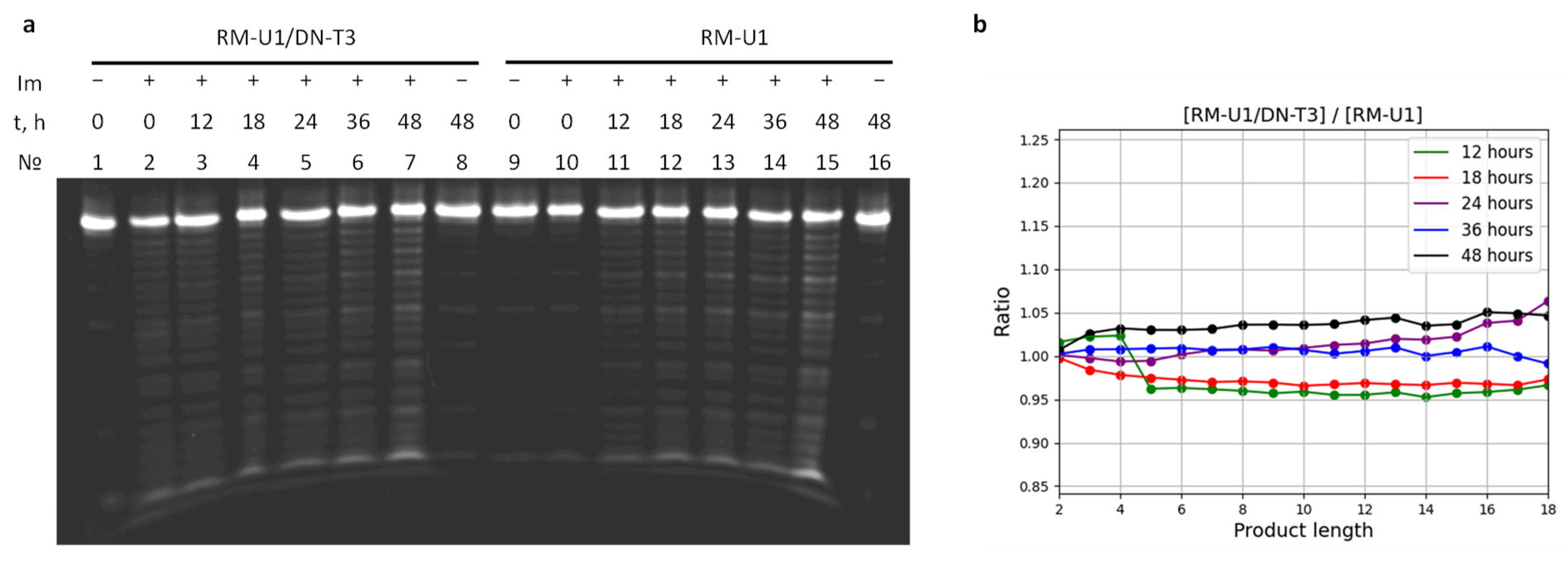 Molecules 29 05896 g007