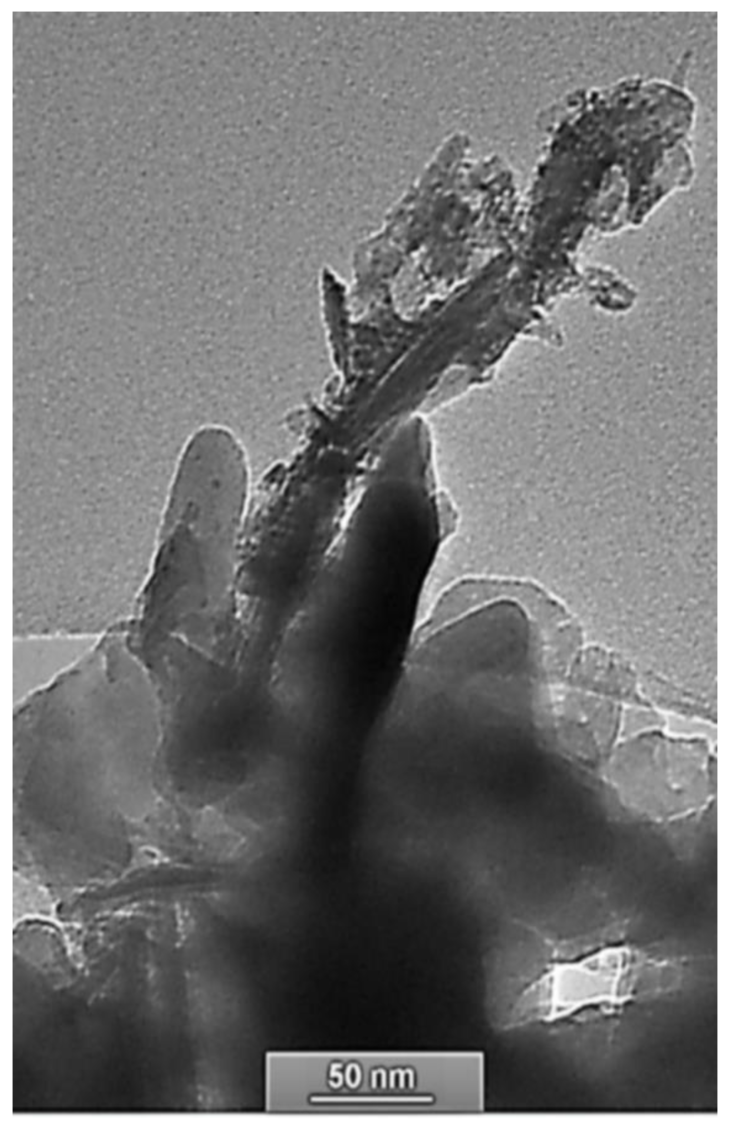 Molecules 29 05898 g002