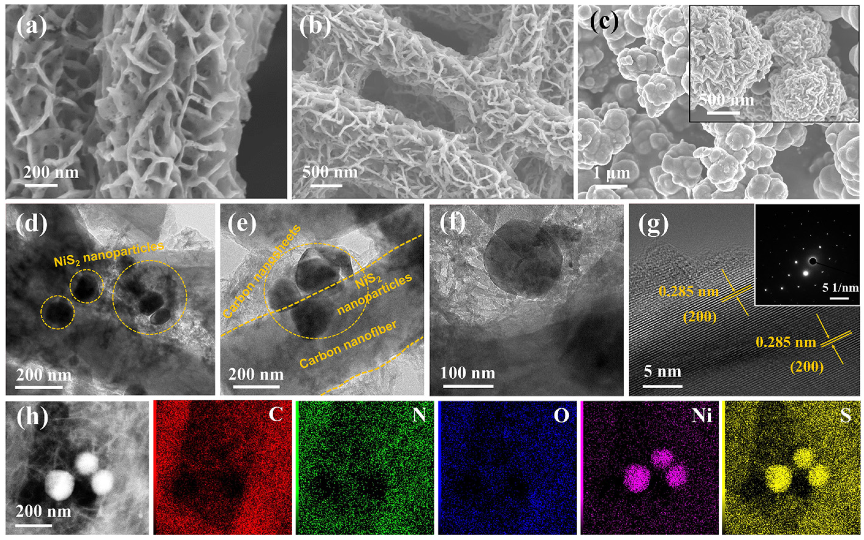 Molecules 29 05906 g002 Molecules 29 05906 g002