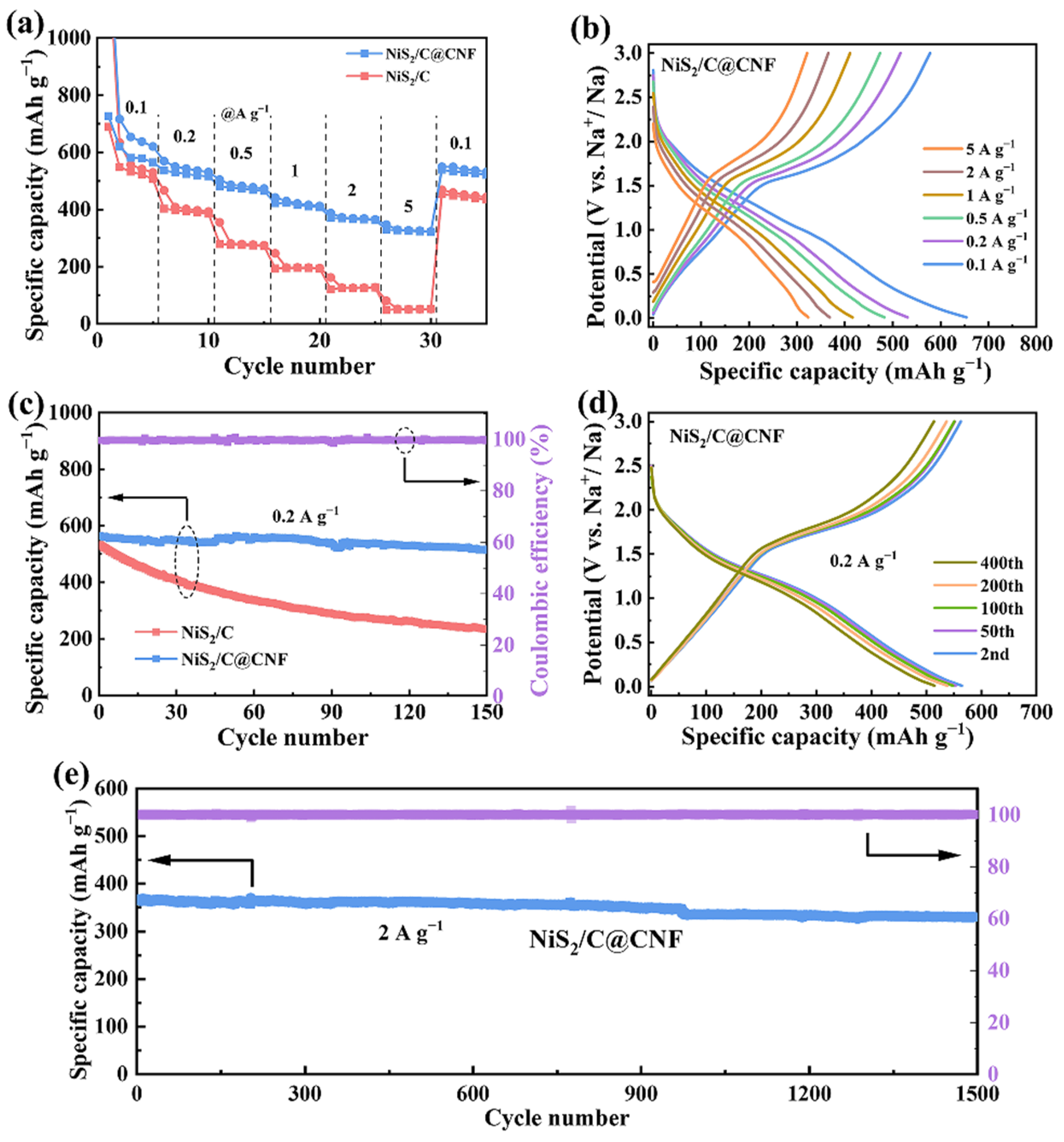 Molecules 29 05906 g005 Molecules 29 05906 g005