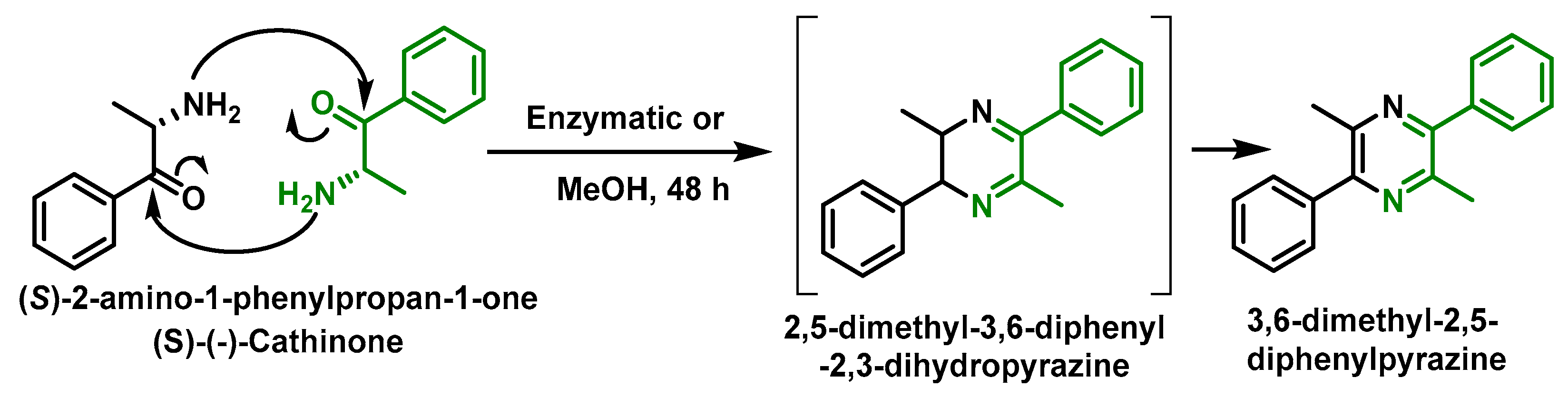 Molecules 29 05918 g002