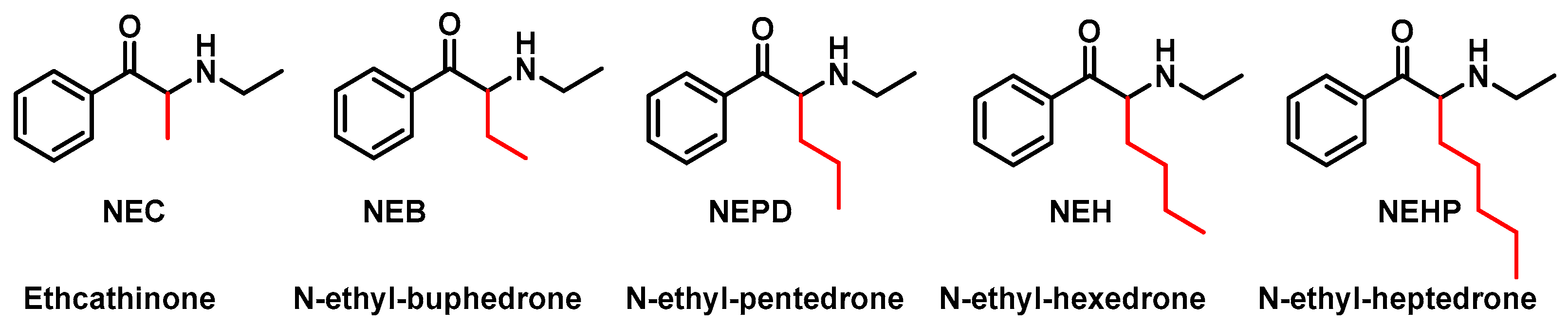 Molecules 29 05918 g006