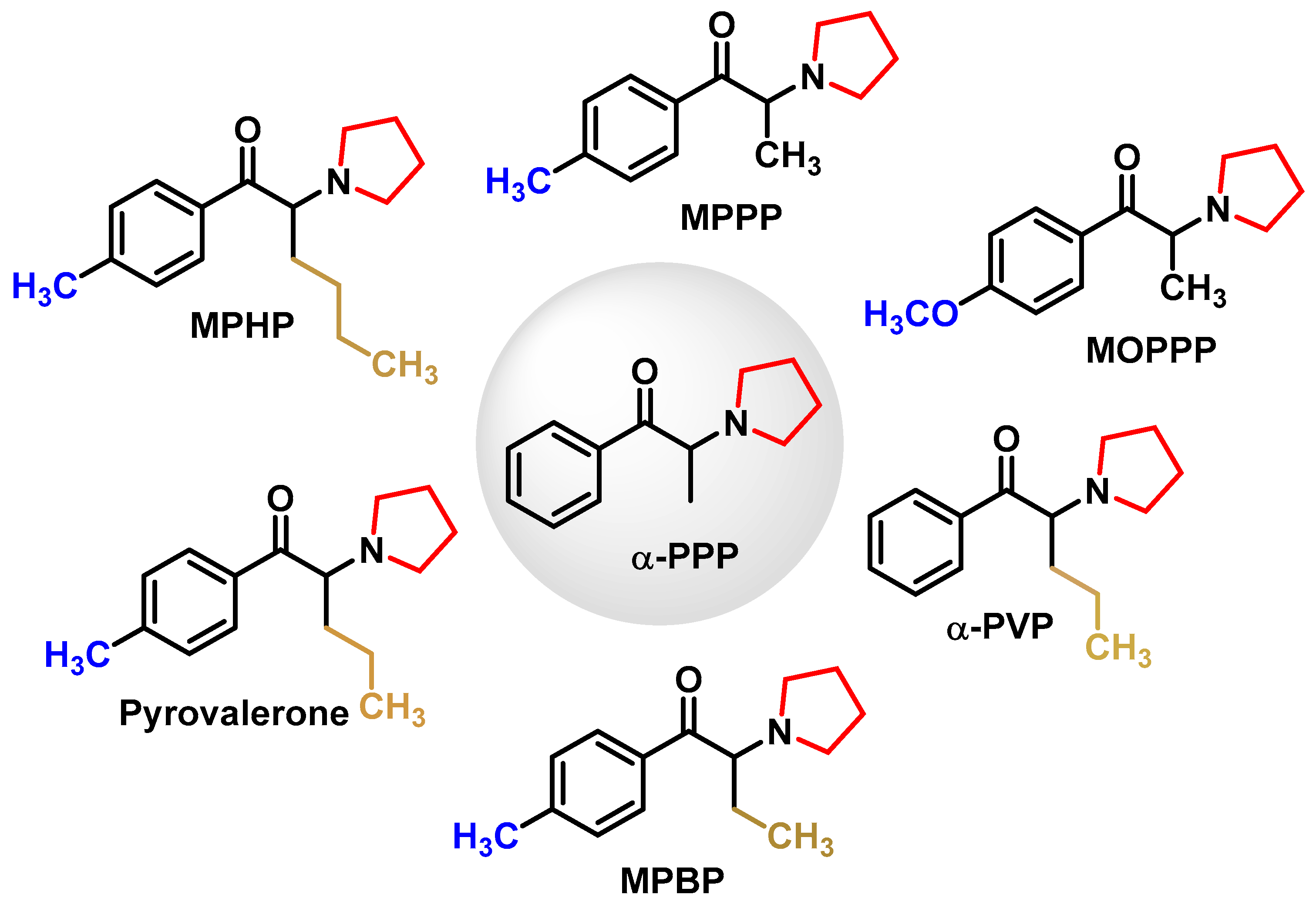 Molecules 29 05918 g007