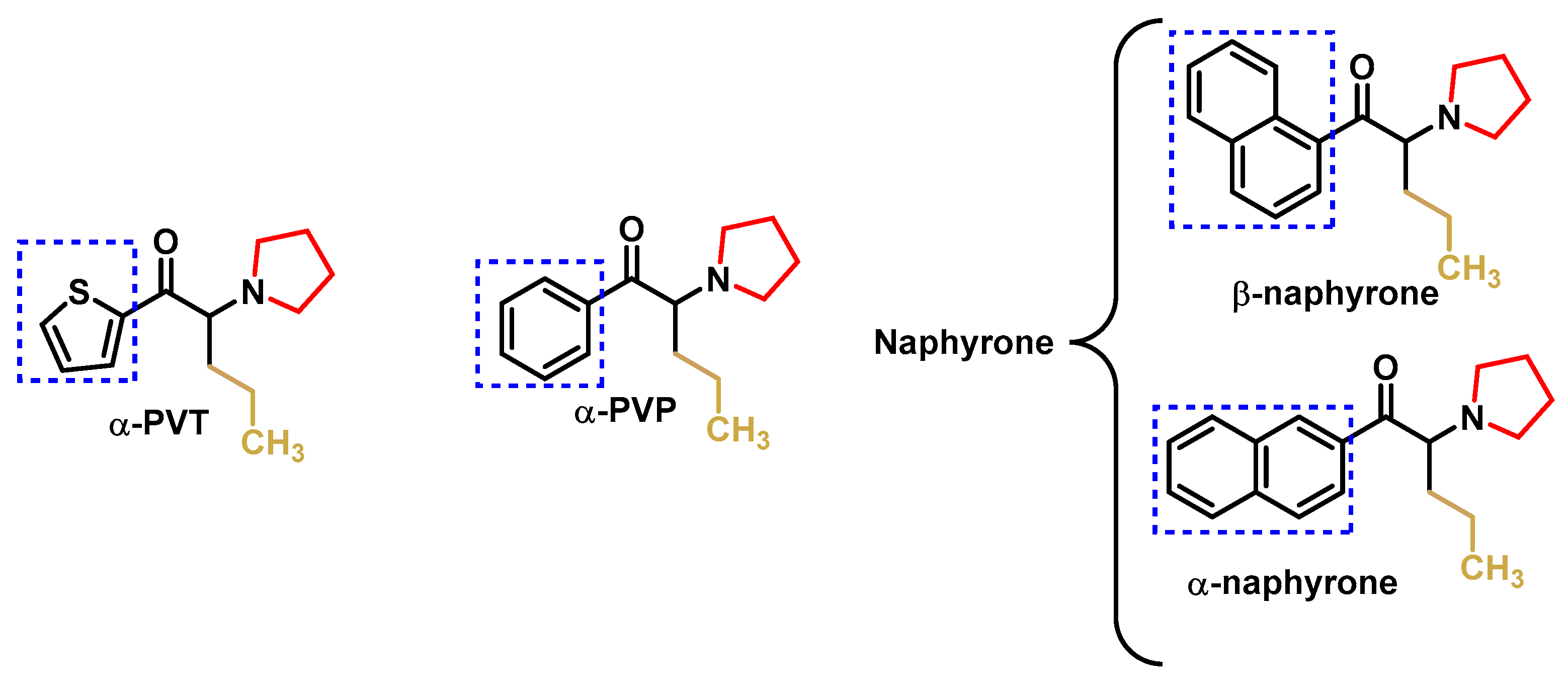 Molecules 29 05918 g008