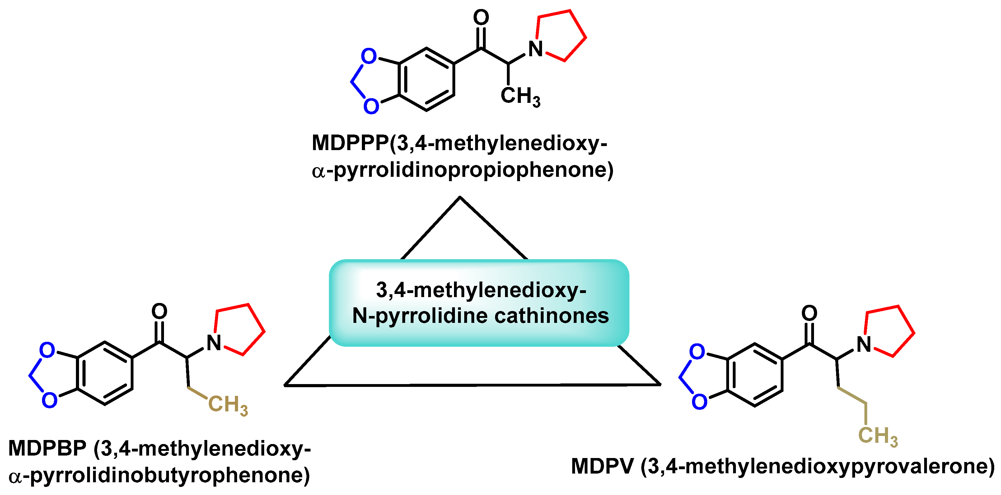 Molecules 29 05918 g009